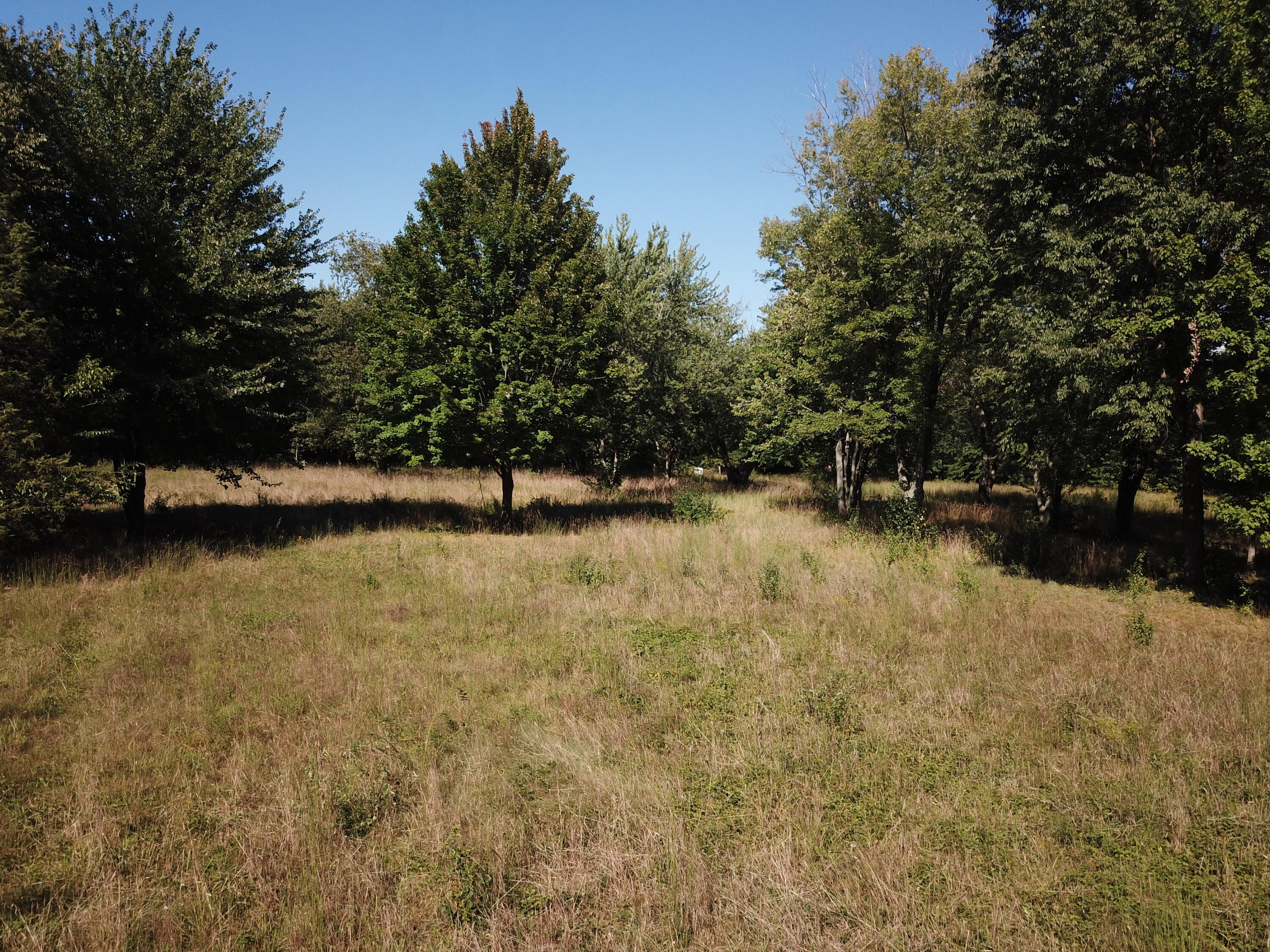 1853 W John Beers Road Stevensville MI 49127