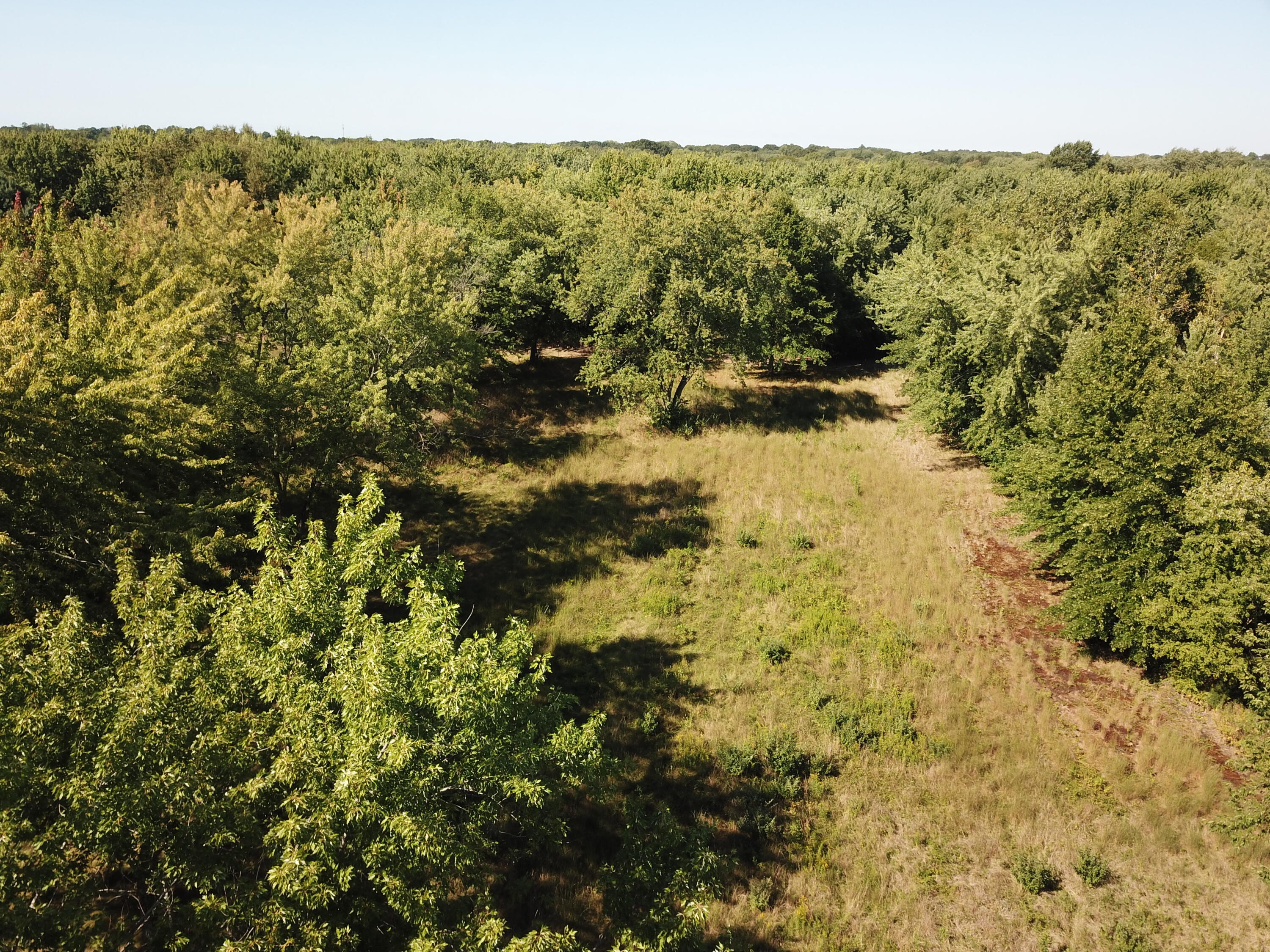 1853 W John Beers Road Stevensville MI 49127