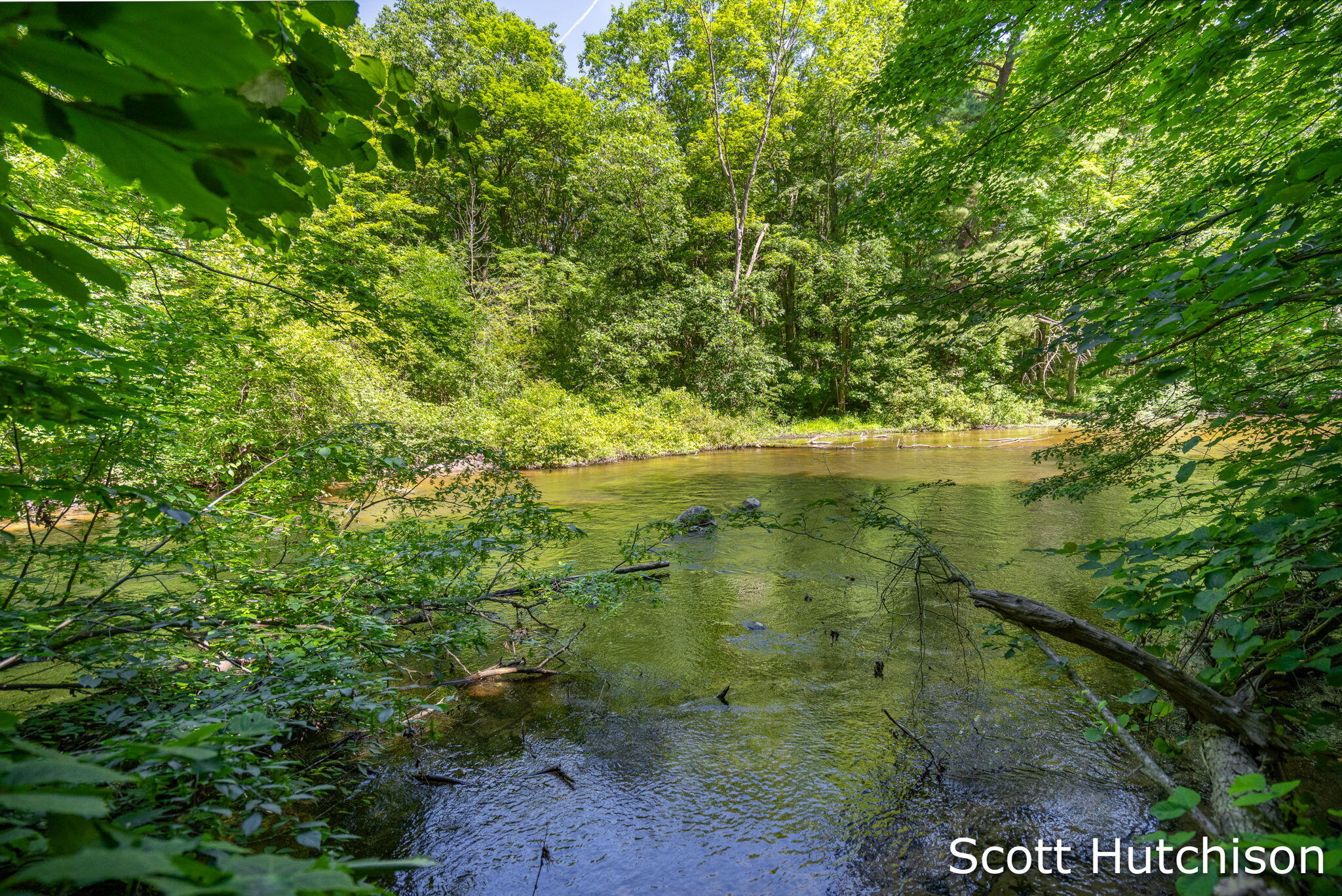 2710 12 Mile Road NE Rockford MI 49341