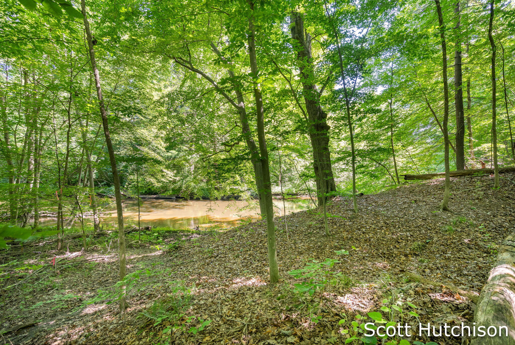 2710 12 Mile Road NE Rockford MI 49341