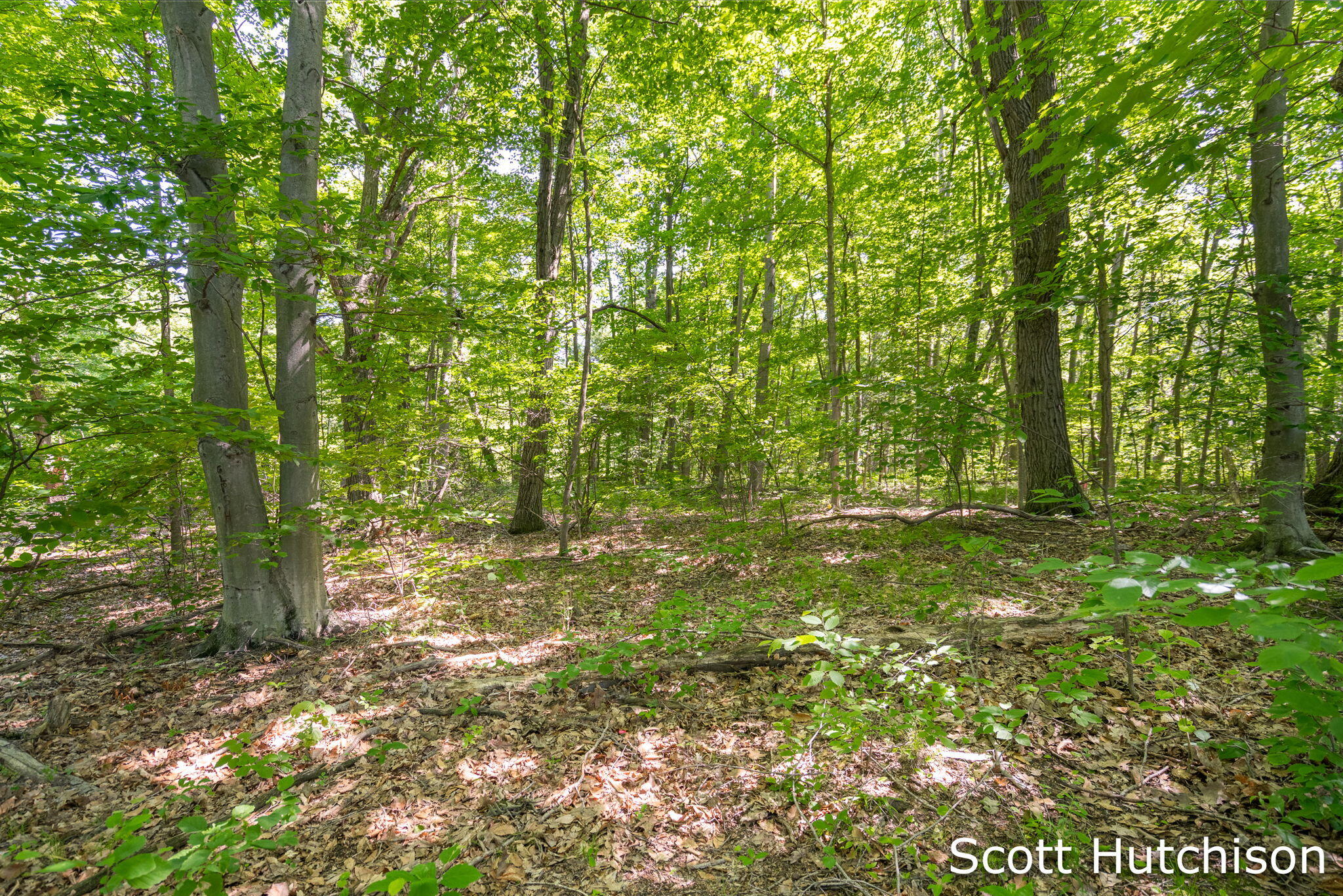 2710 12 Mile Road NE Rockford MI 49341
