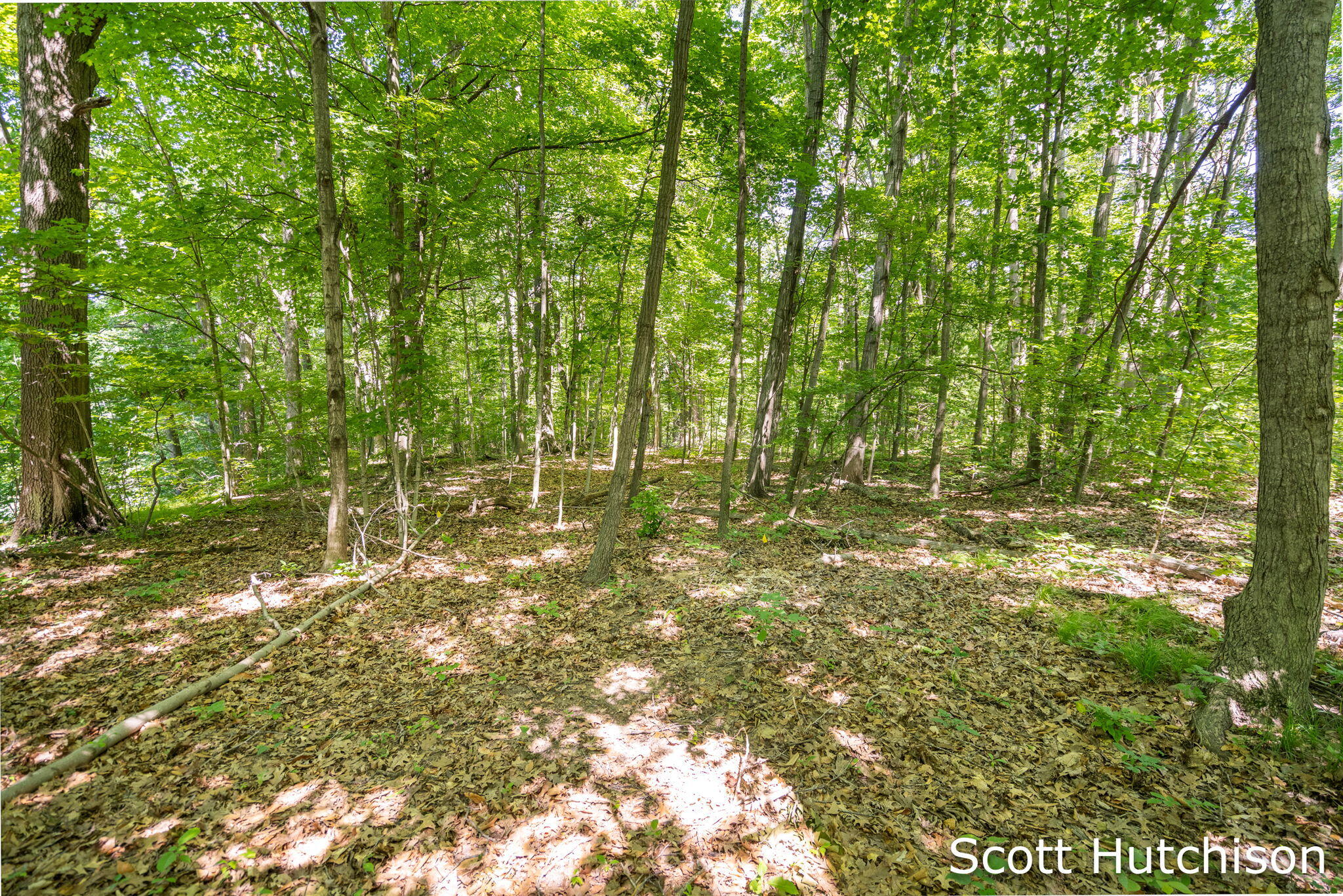 2710 12 Mile Road NE Rockford MI 49341