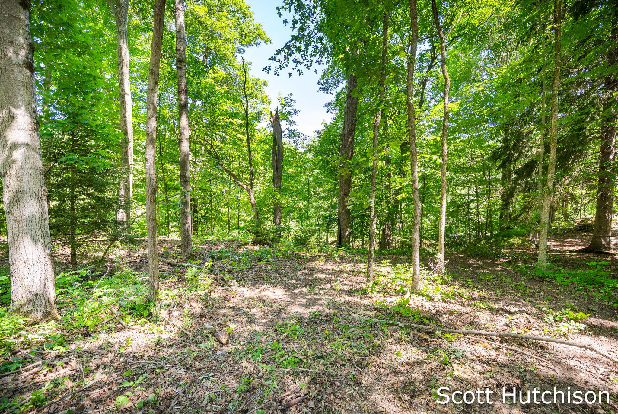 2710 12 Mile Road NE Rockford MI 49341