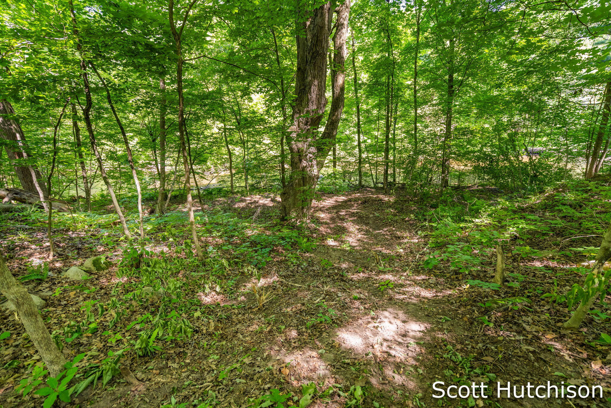 2710 12 Mile Road NE Rockford MI 49341