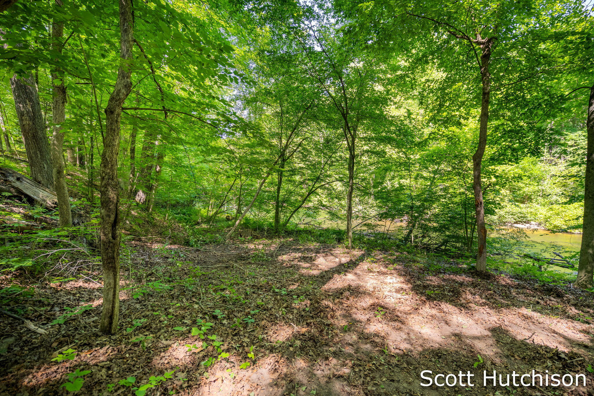 2710 12 Mile Road NE Rockford MI 49341