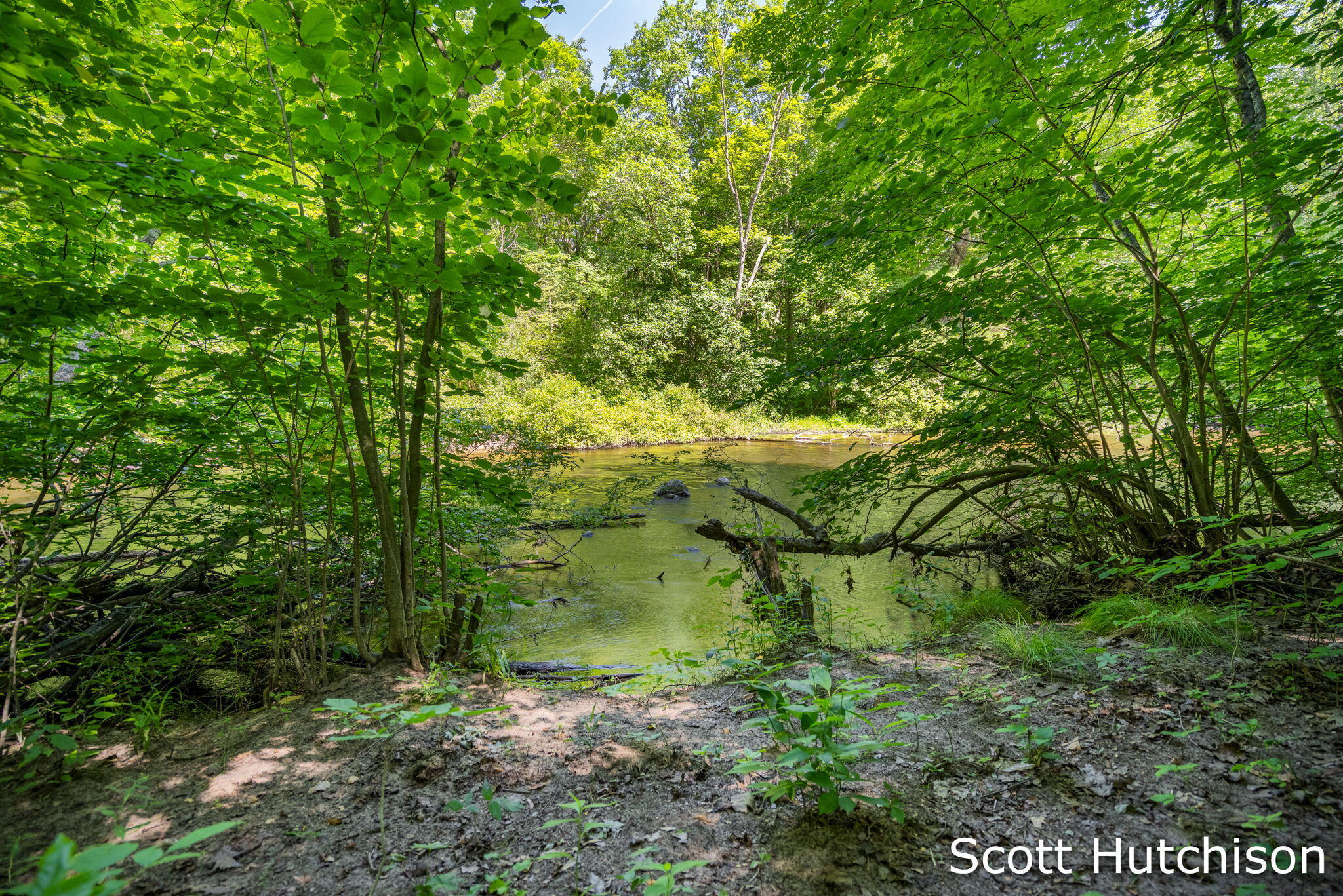 2710 12 Mile Road NE Rockford MI 49341