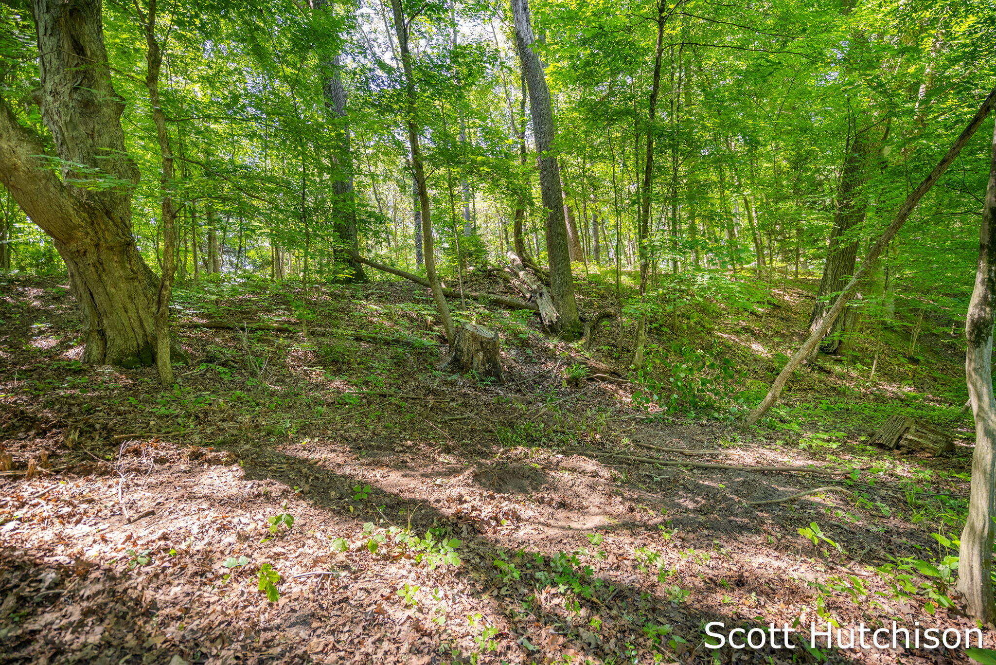 2710 12 Mile Road NE Rockford MI 49341