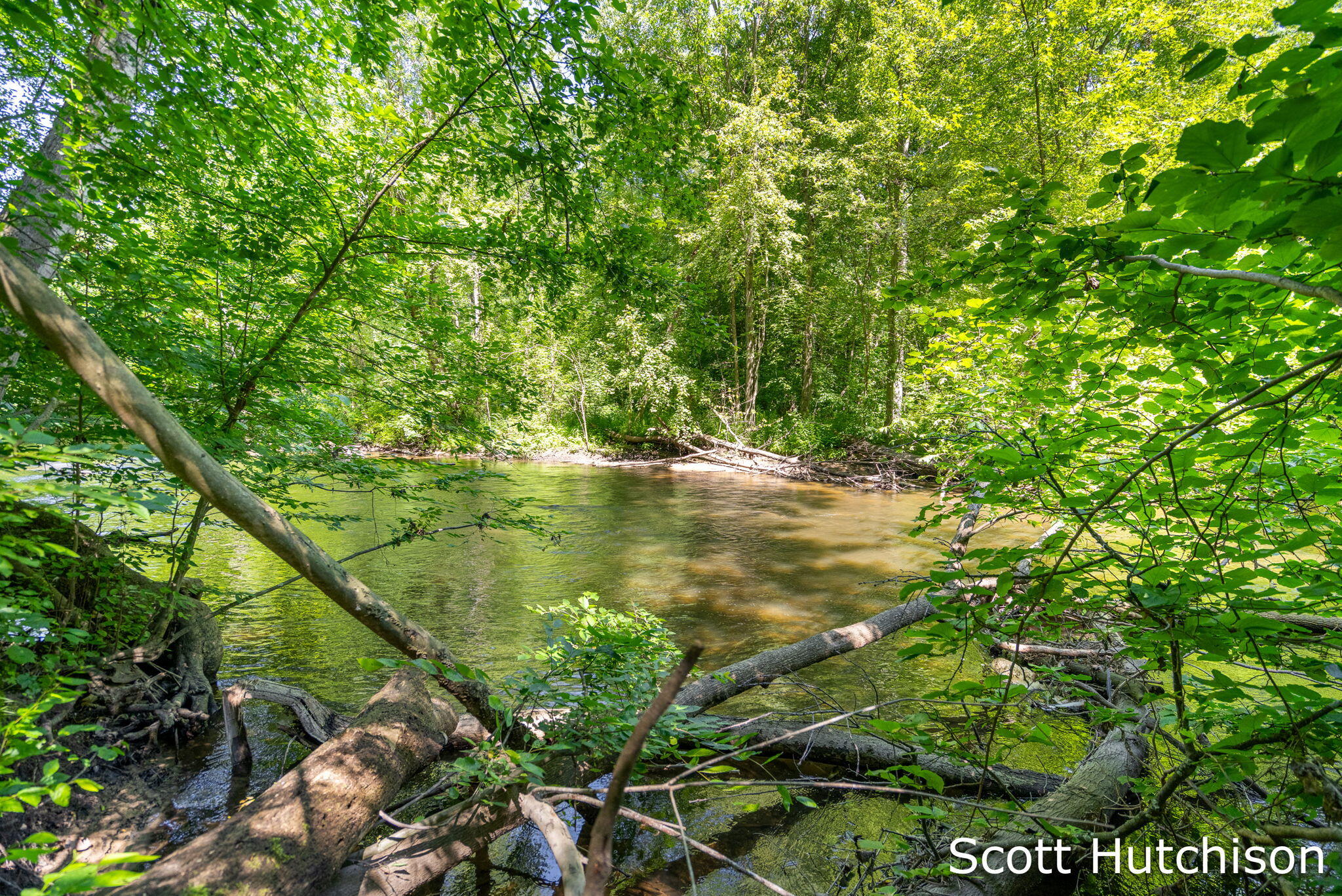 2710 12 Mile Road NE Rockford MI 49341