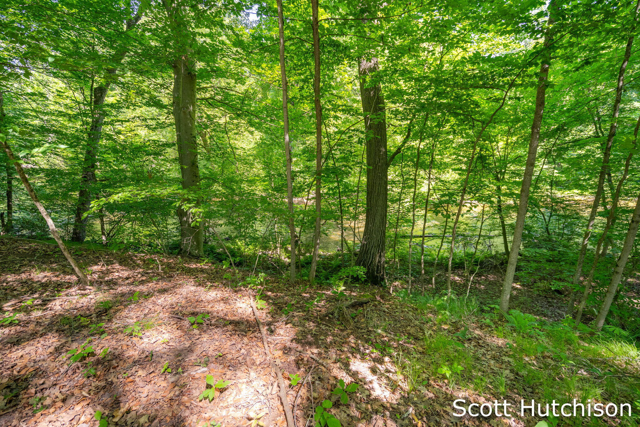 2710 12 Mile Road NE Rockford MI 49341