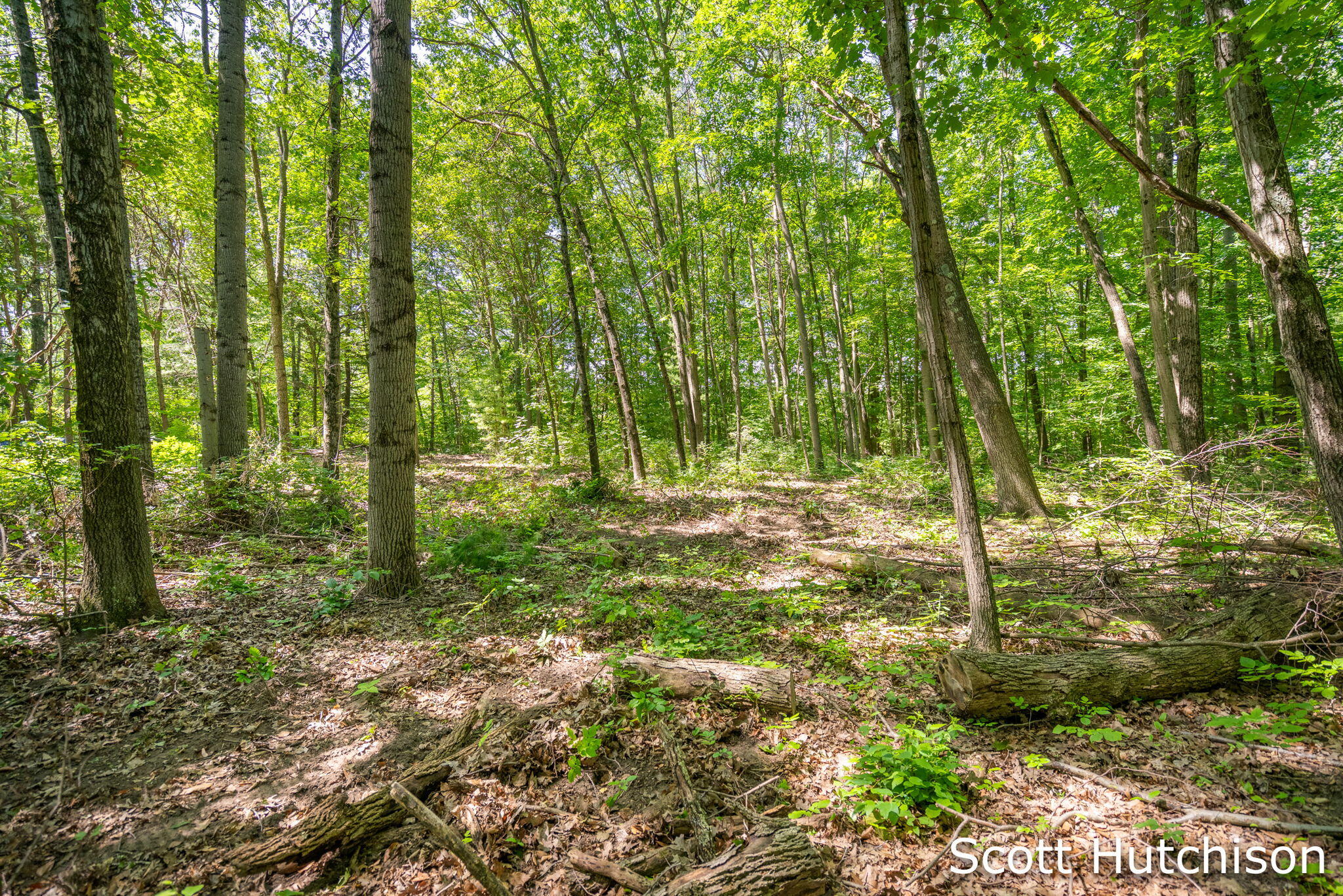 2710 12 Mile Road NE Rockford MI 49341