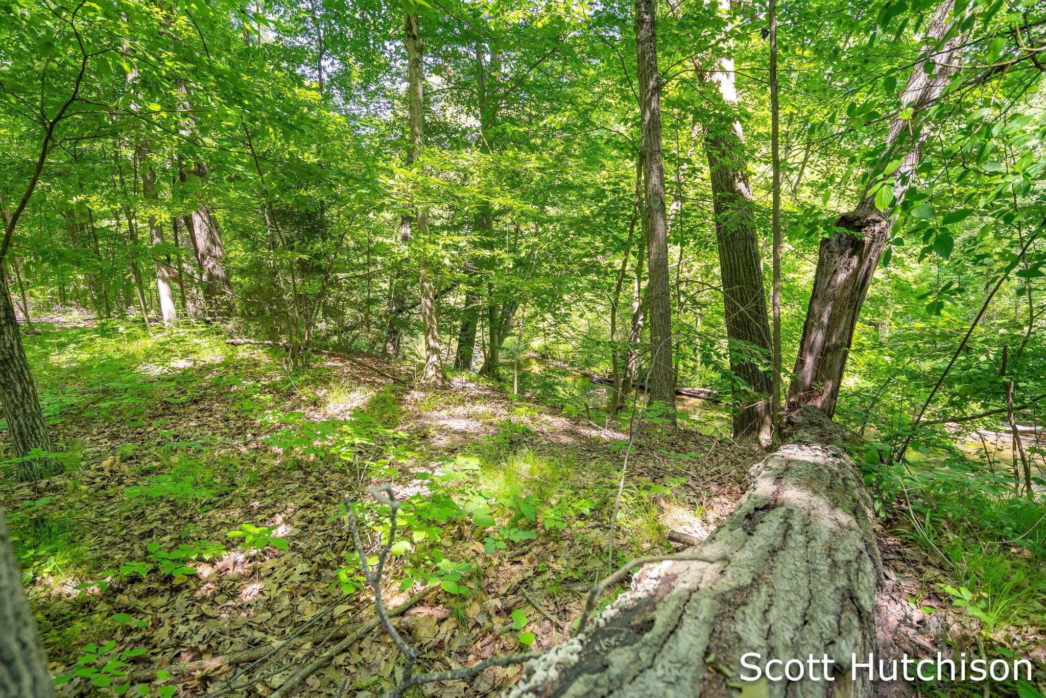 2710 12 Mile Road NE Rockford MI 49341