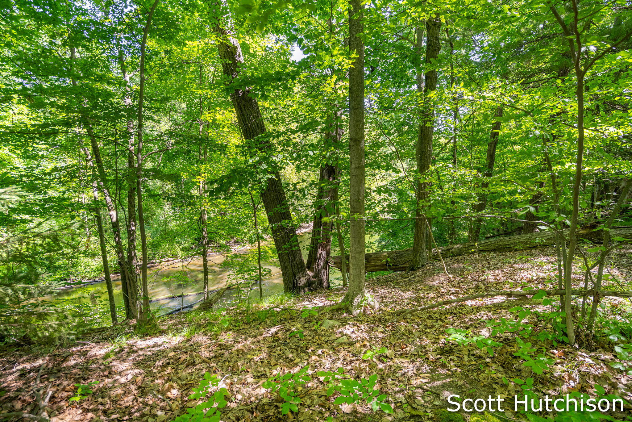 2710 12 Mile Road NE Rockford MI 49341