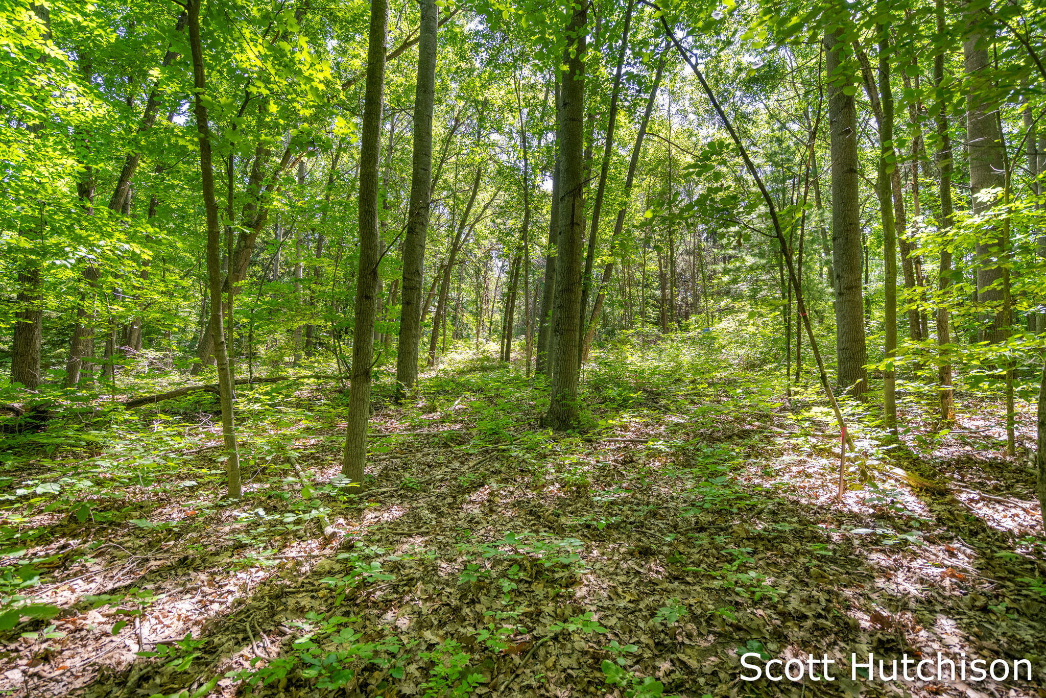 2710 12 Mile Road NE Rockford MI 49341