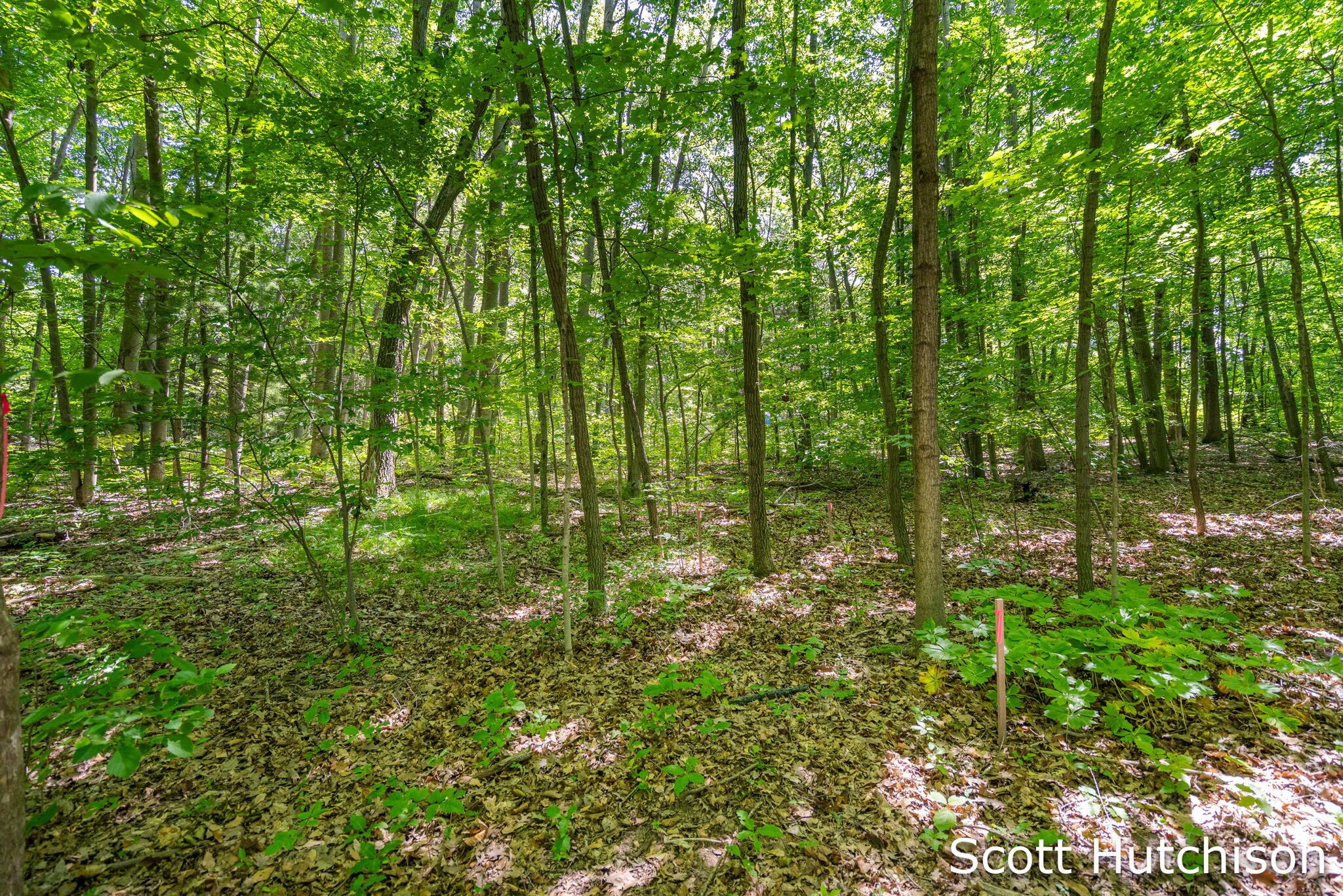 2710 12 Mile Road NE Rockford MI 49341
