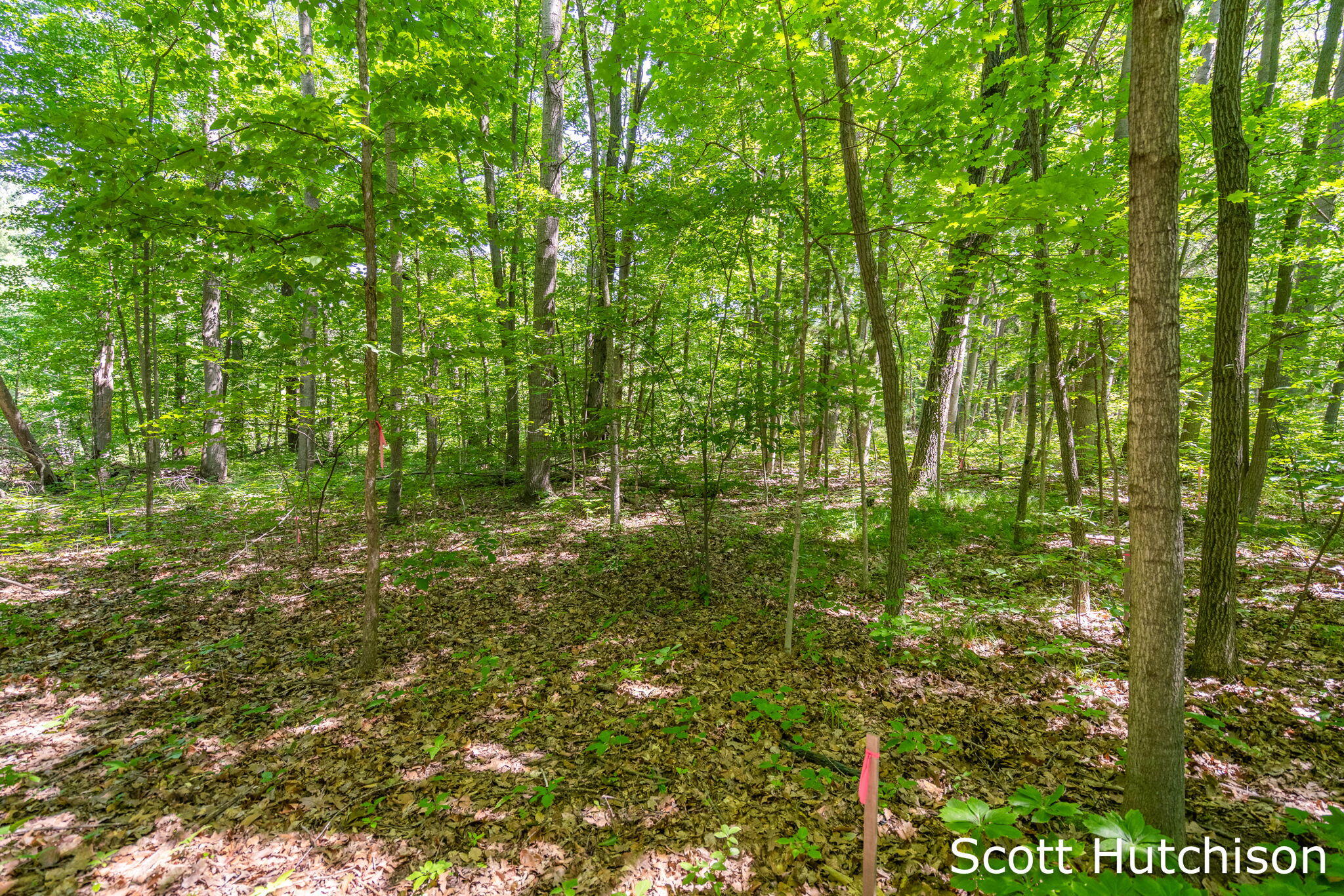 2710 12 Mile Road NE Rockford MI 49341