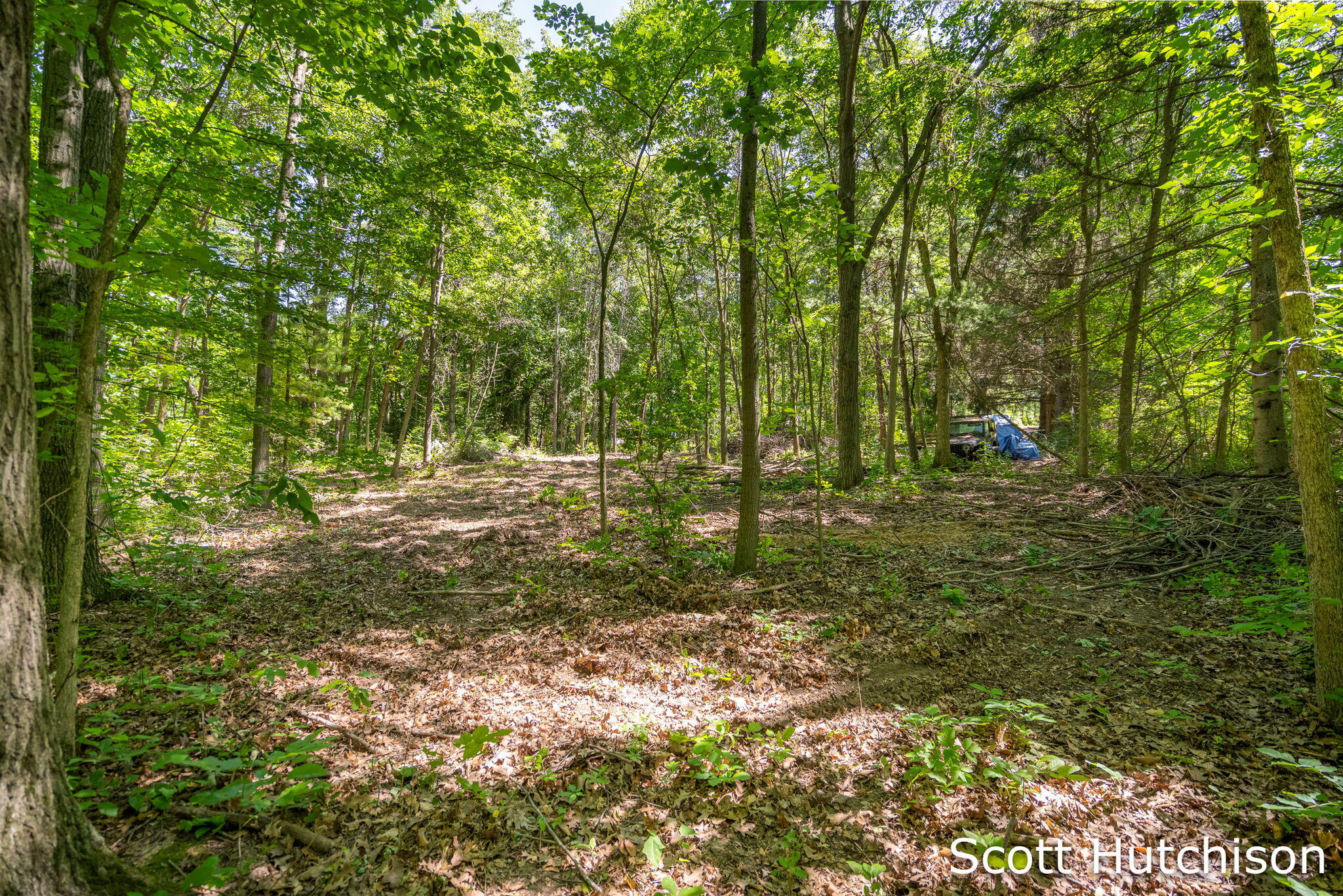 2710 12 Mile Road NE Rockford MI 49341