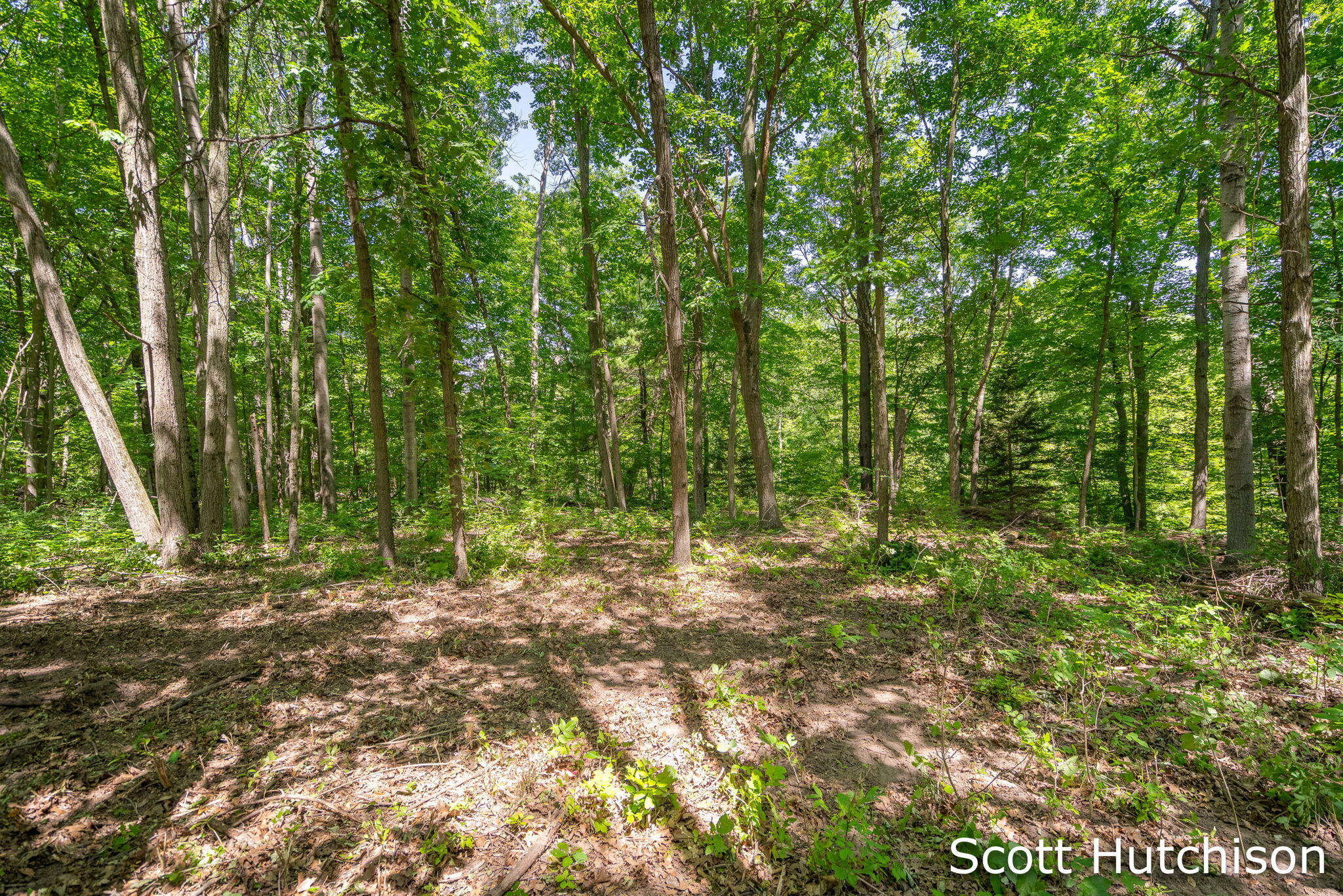 2710 12 Mile Road NE Rockford MI 49341