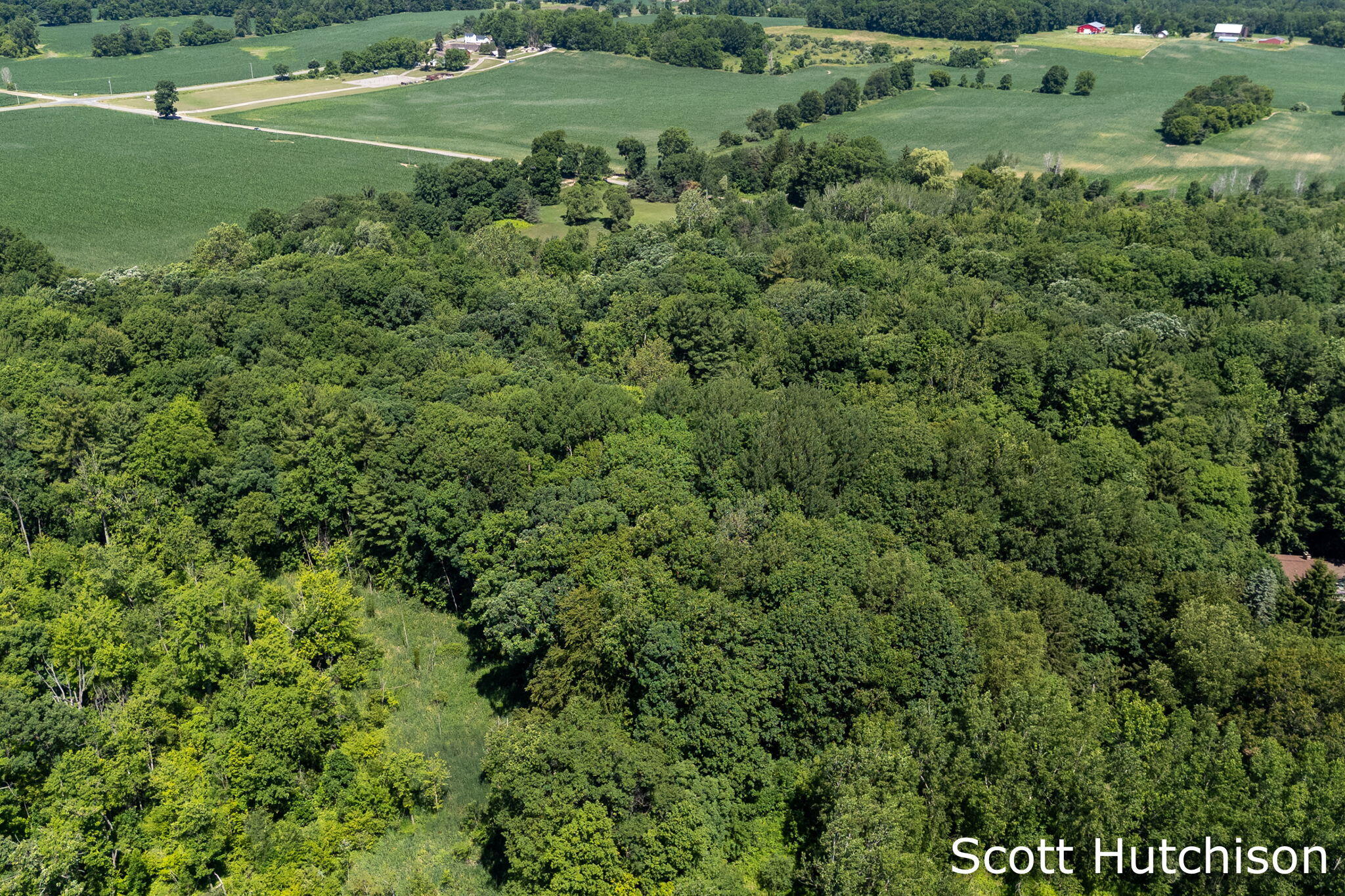 2710 12 Mile Road NE Rockford MI 49341