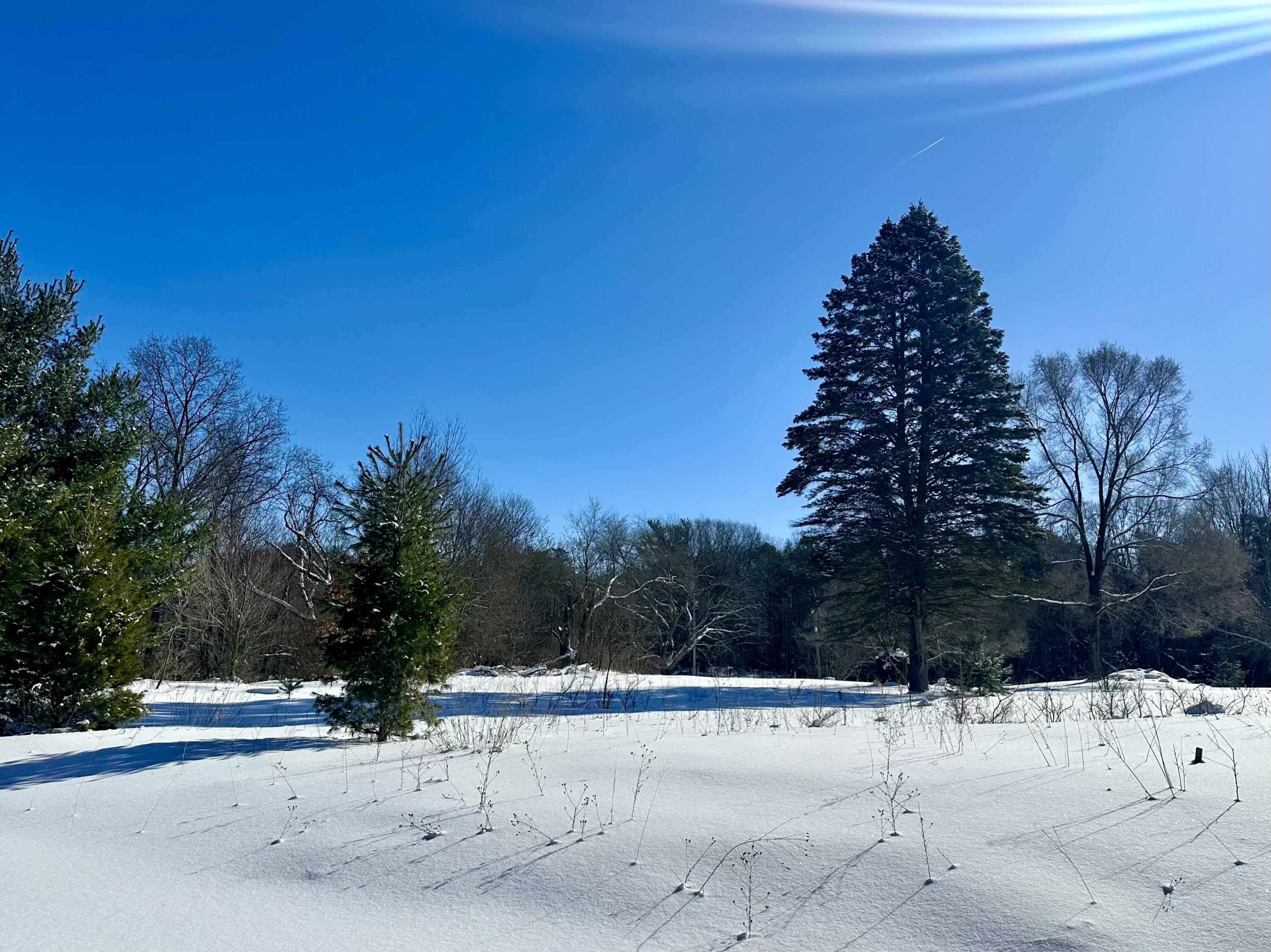 3505 65th Street Saugatuck MI 49453