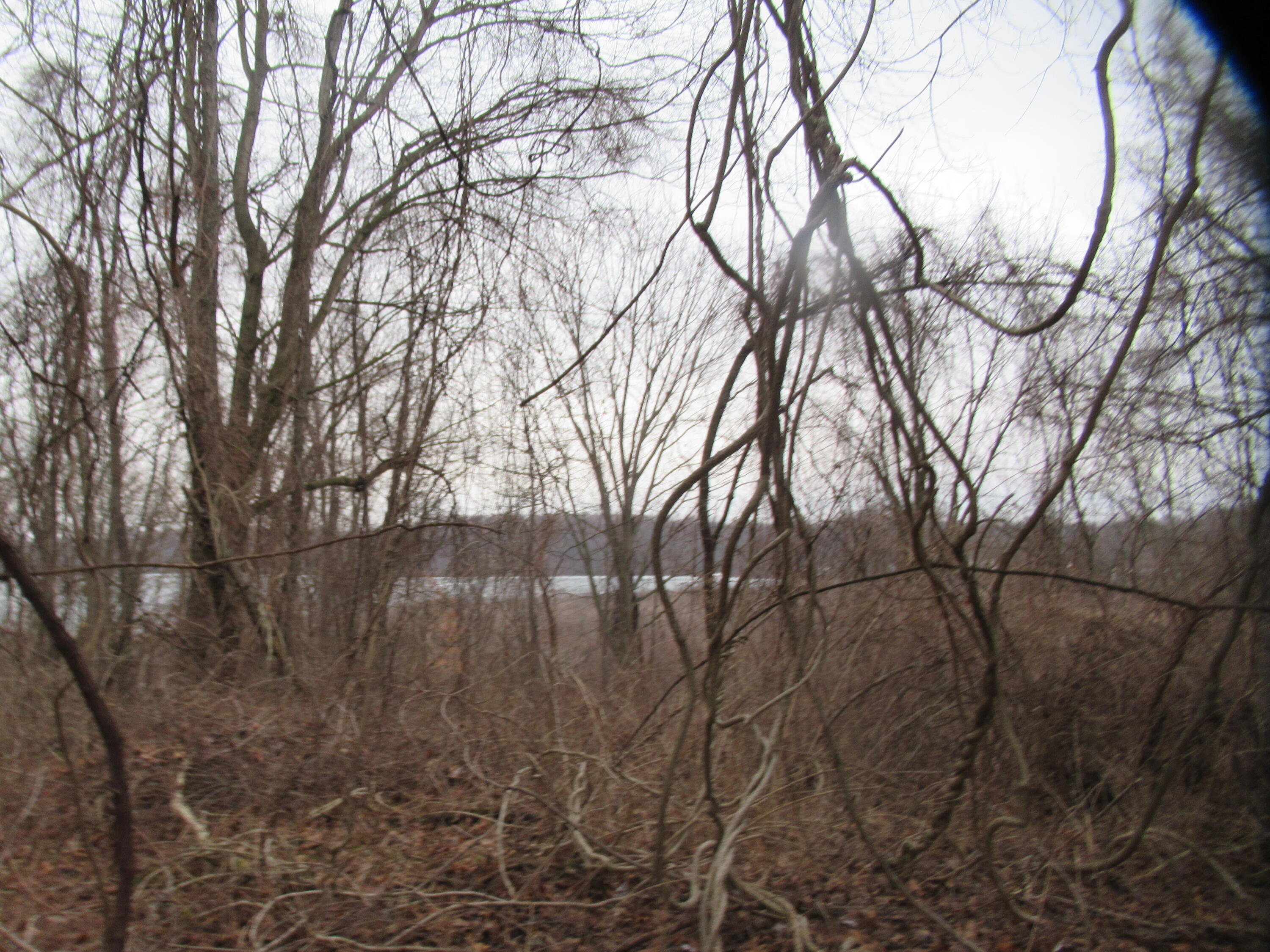 17673 Long Lake Drive Cassopolis MI 49031