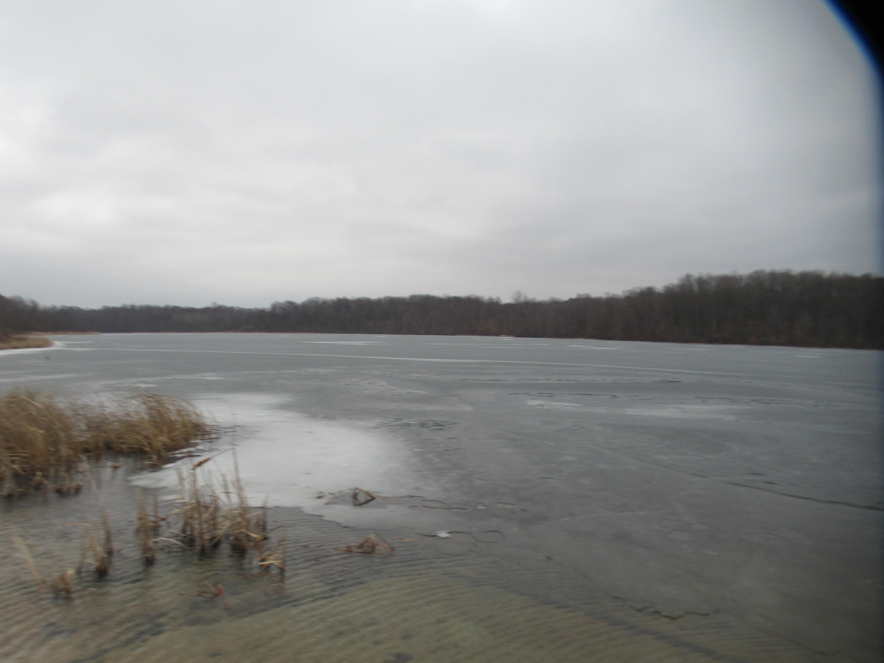 17673 Long Lake Drive Cassopolis MI 49031