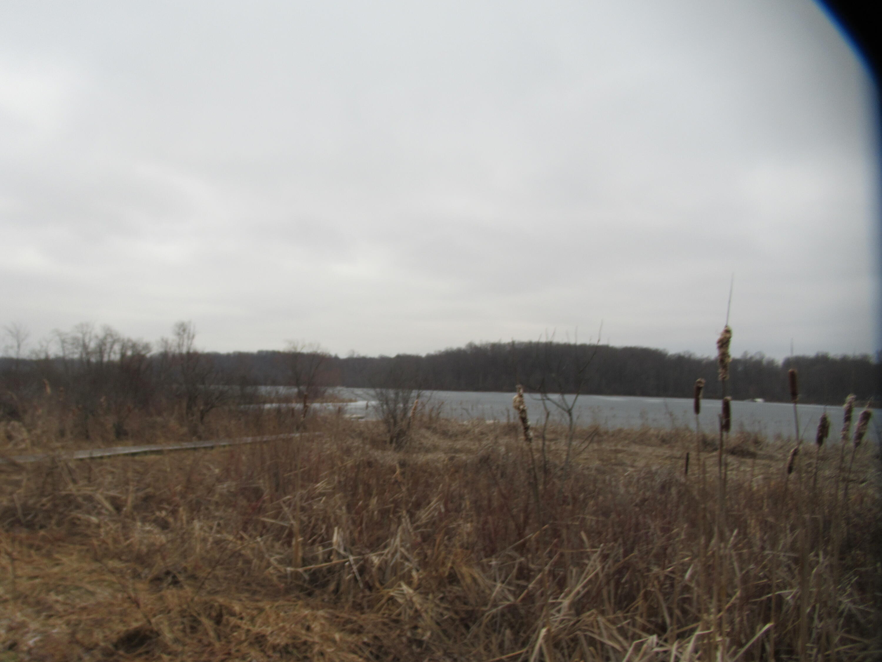 17673 Long Lake Drive Cassopolis MI 49031