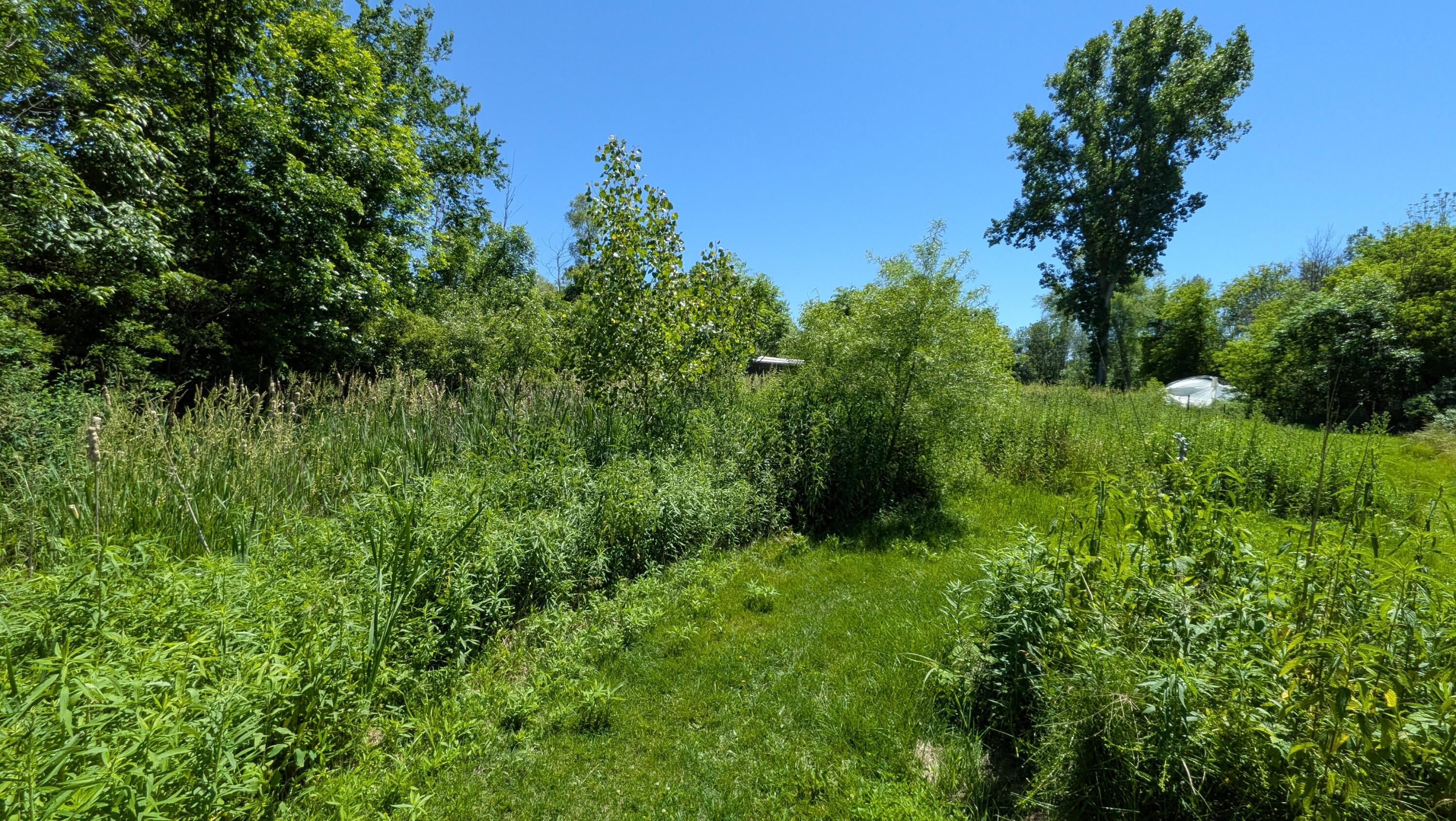 113TH Avenue Fennville MI 49408