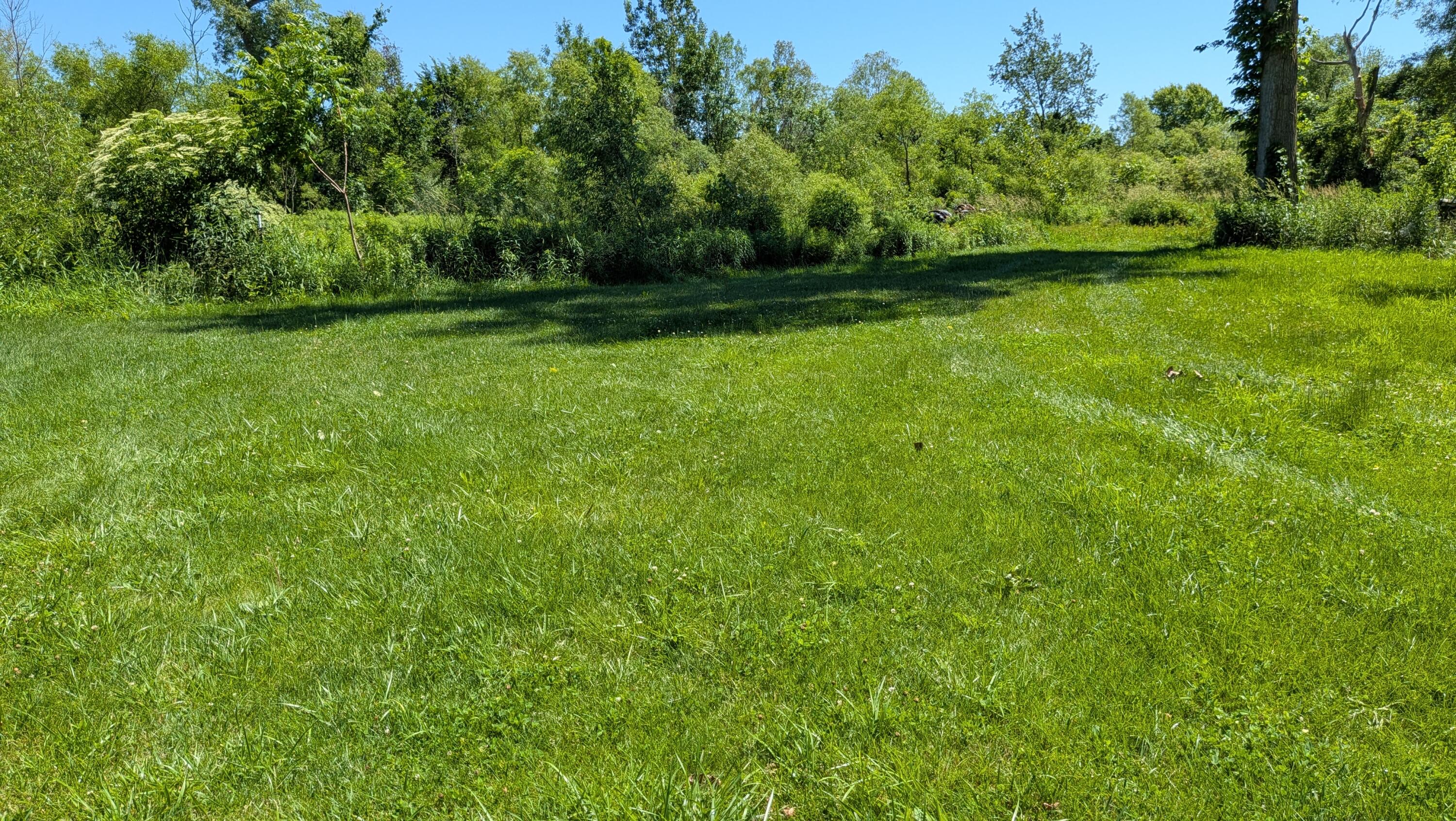 113TH Avenue Fennville MI 49408