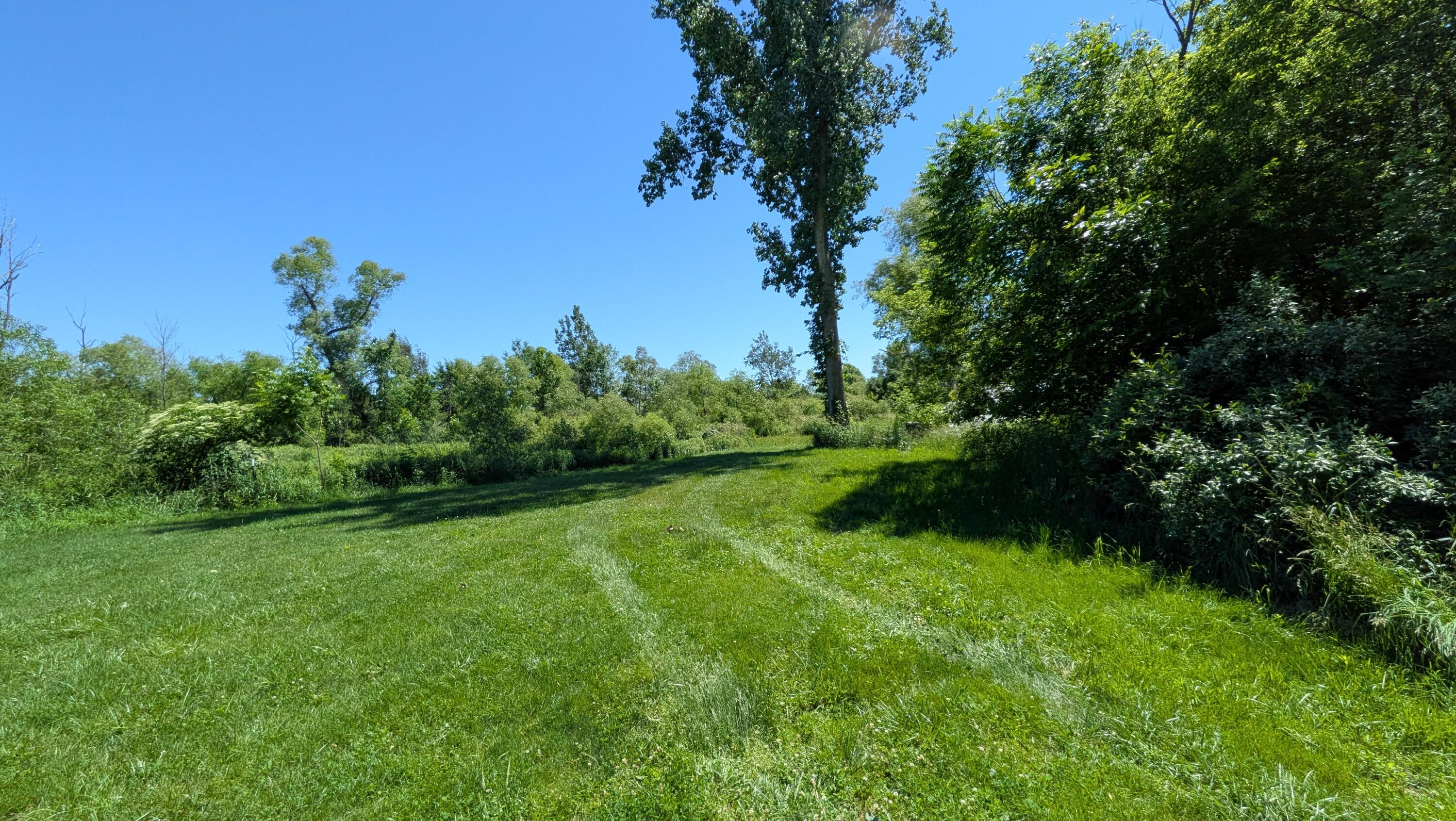 113TH Avenue Fennville MI 49408
