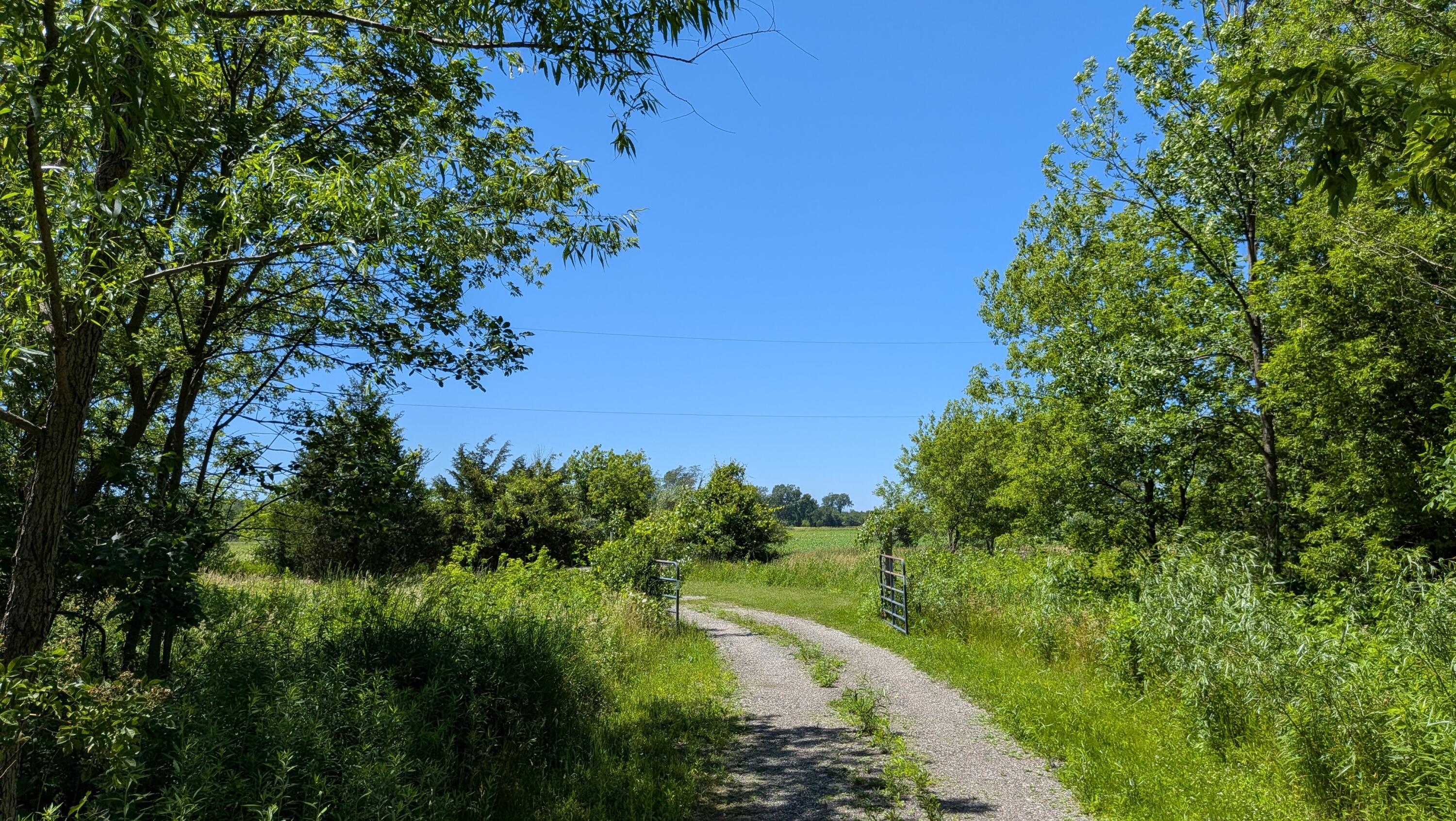 113TH Avenue Fennville MI 49408