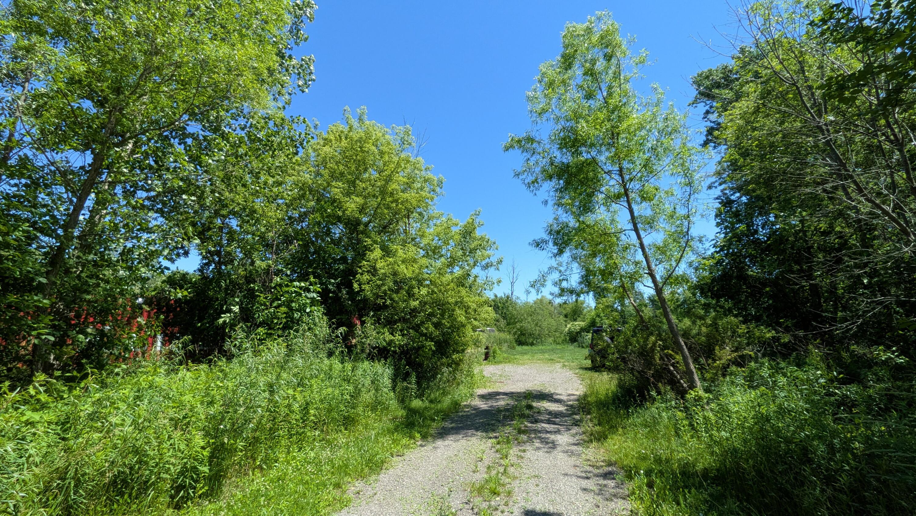 113TH Avenue Fennville MI 49408