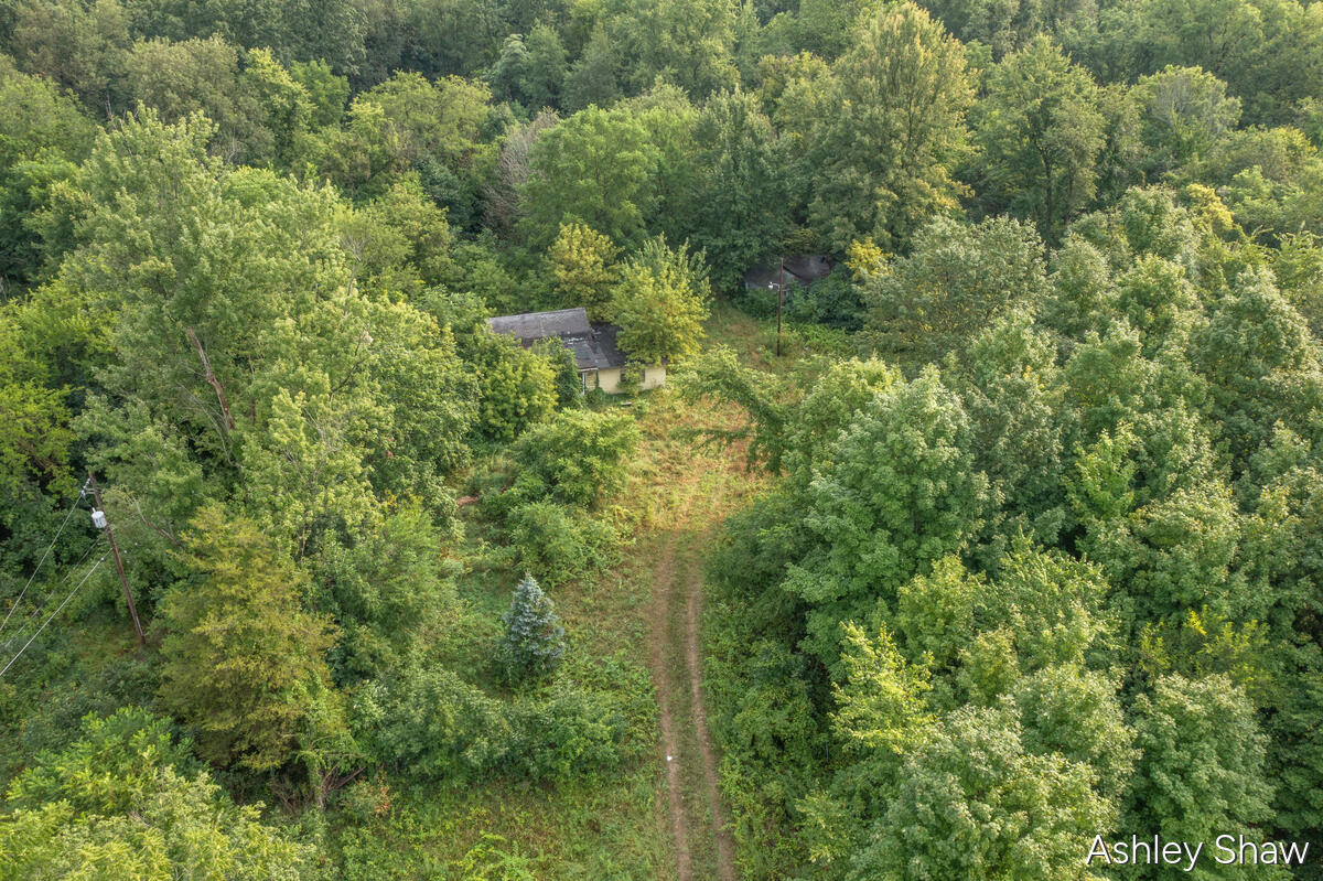 1099 Lincoln Road Allegan MI 49010