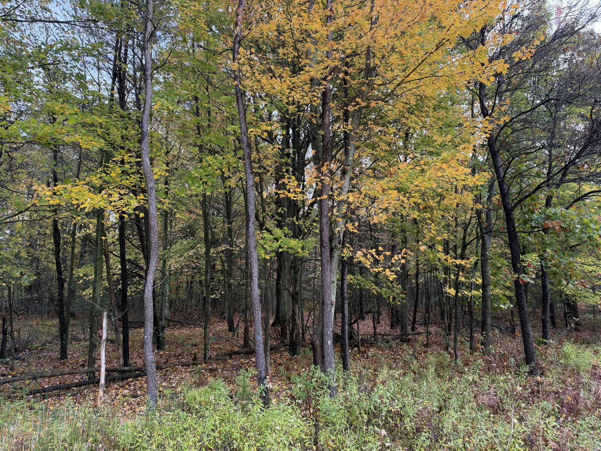 0 Nord Road Muskegon MI 49445