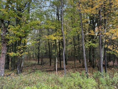 0 Nord Road Muskegon MI 49445