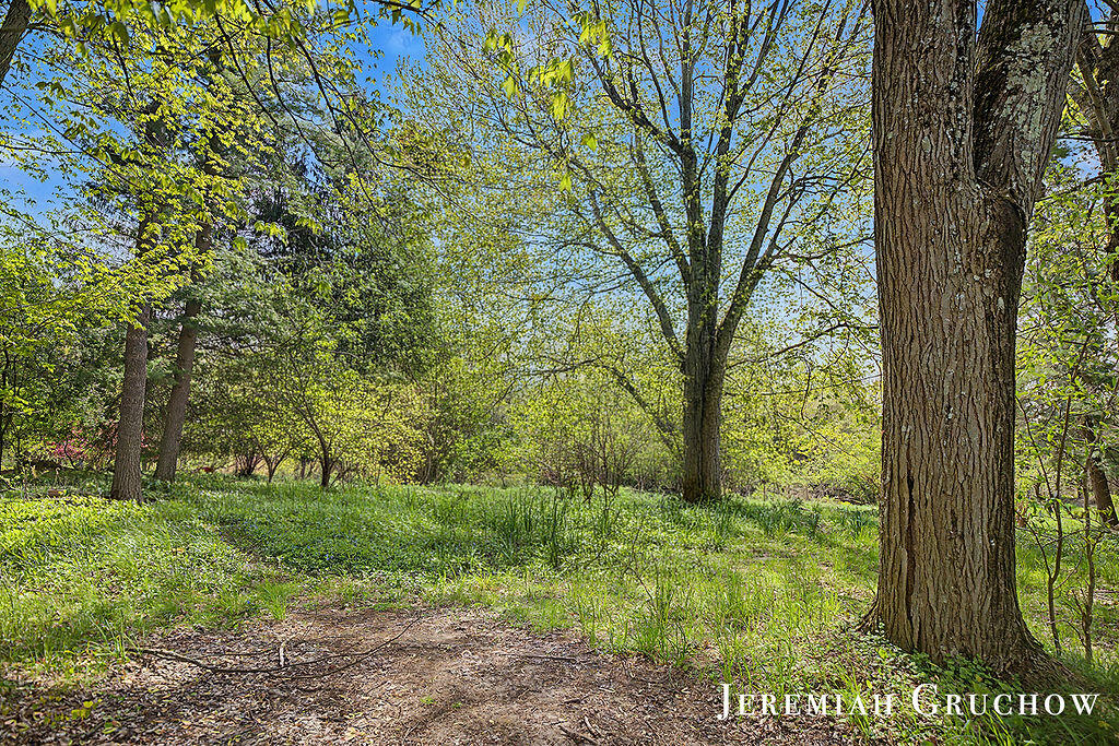 8725 Conservation Street NE Ada MI 49301