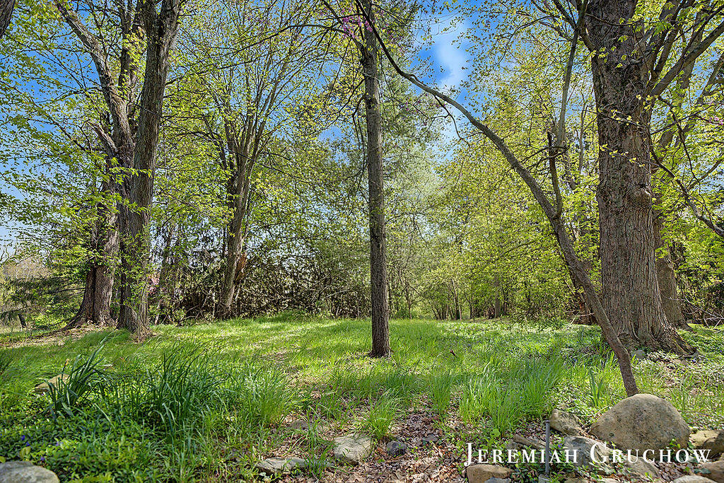 8725 Conservation Street NE Ada MI 49301