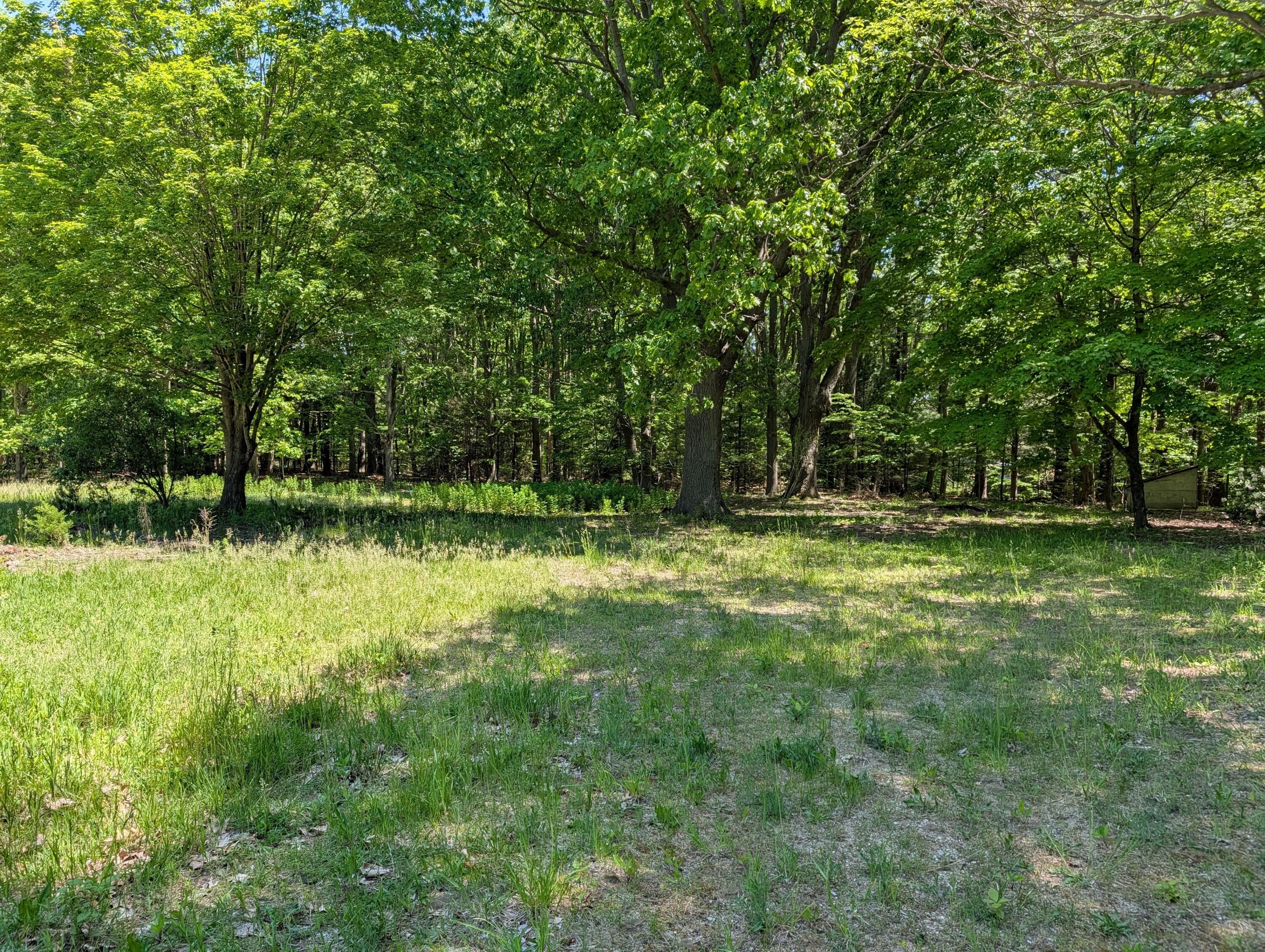 3503 65th Saugatuck MI 49453