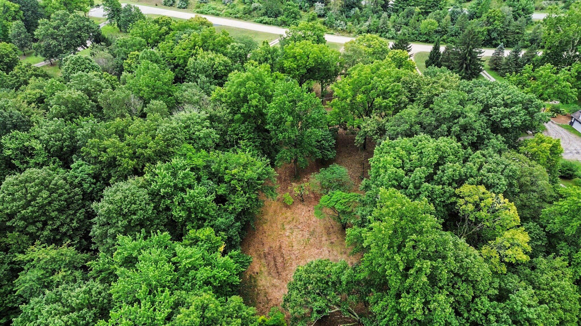 4239 Lake Chapin Bluff Berrien Springs MI 49103