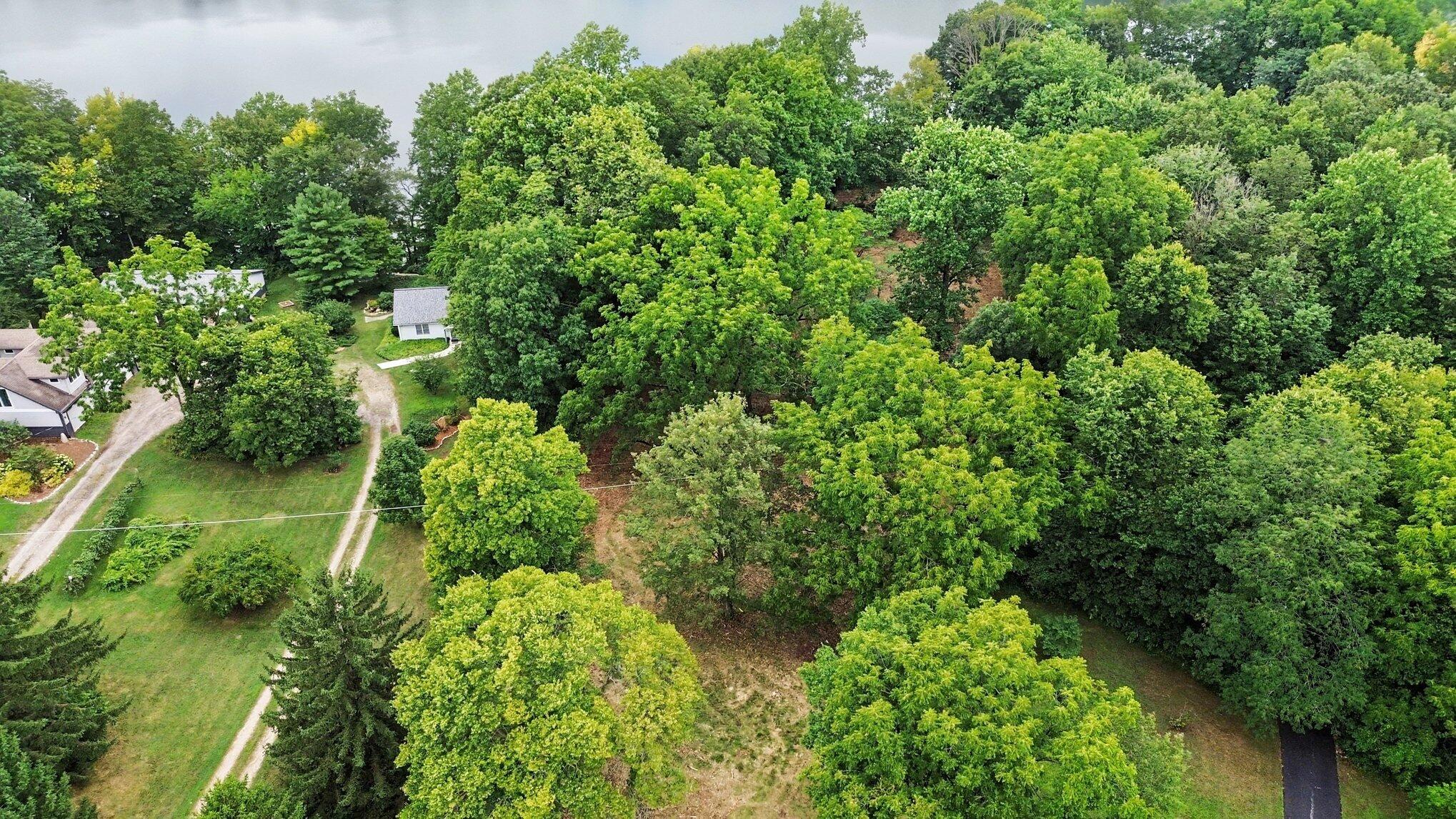 4239 Lake Chapin Bluff Berrien Springs MI 49103