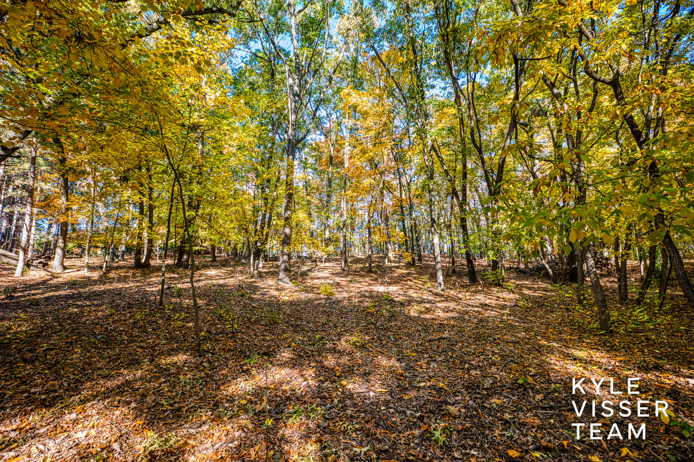 7336 Leonard Street NE Ada MI 49301