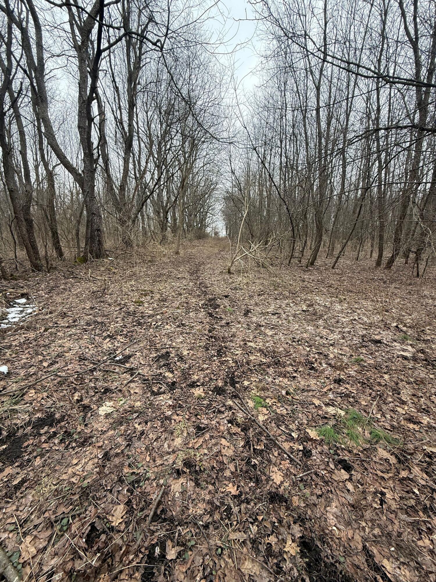 Portage Road Niles MI 49120