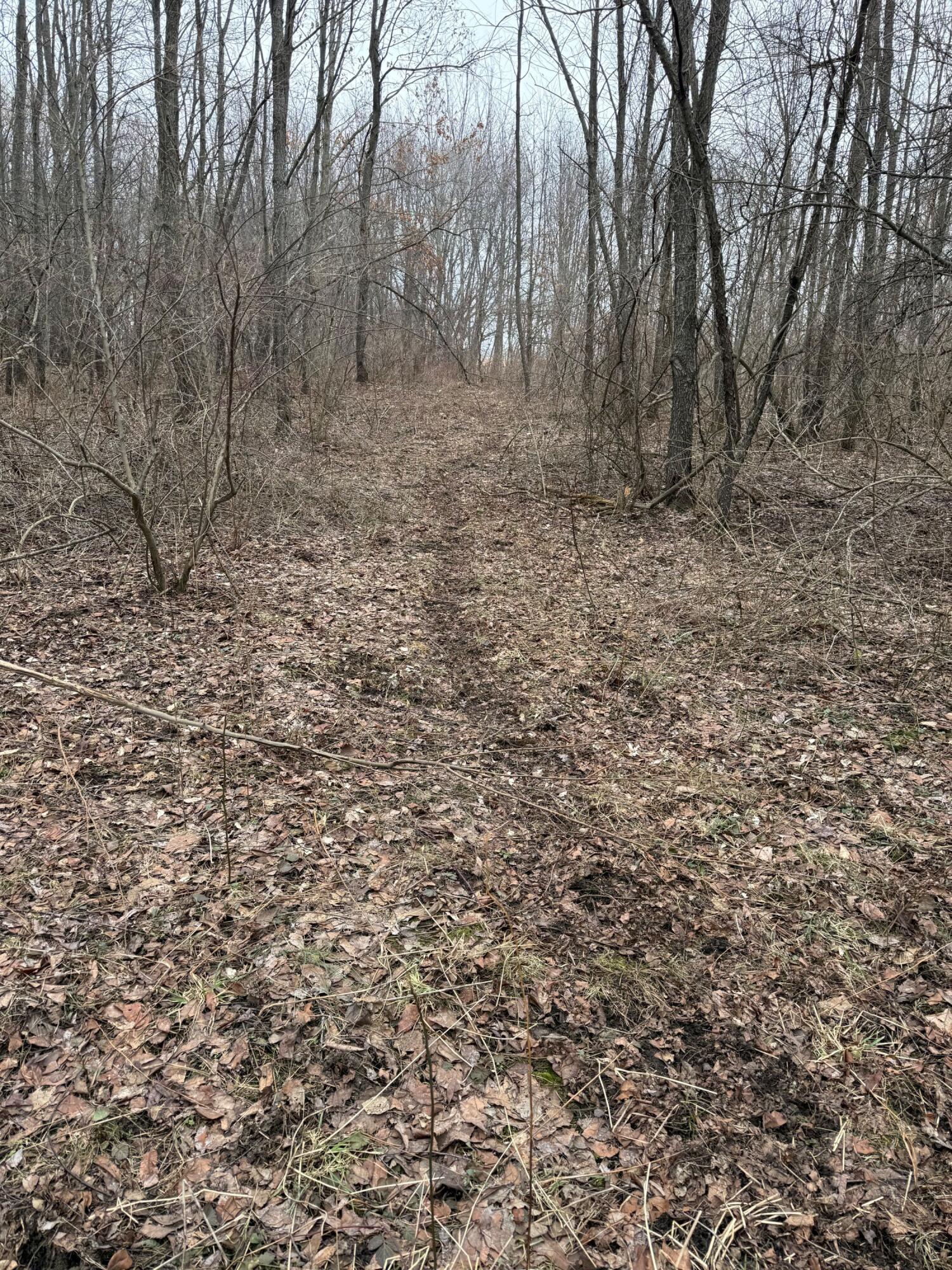 Portage Road Niles MI 49120