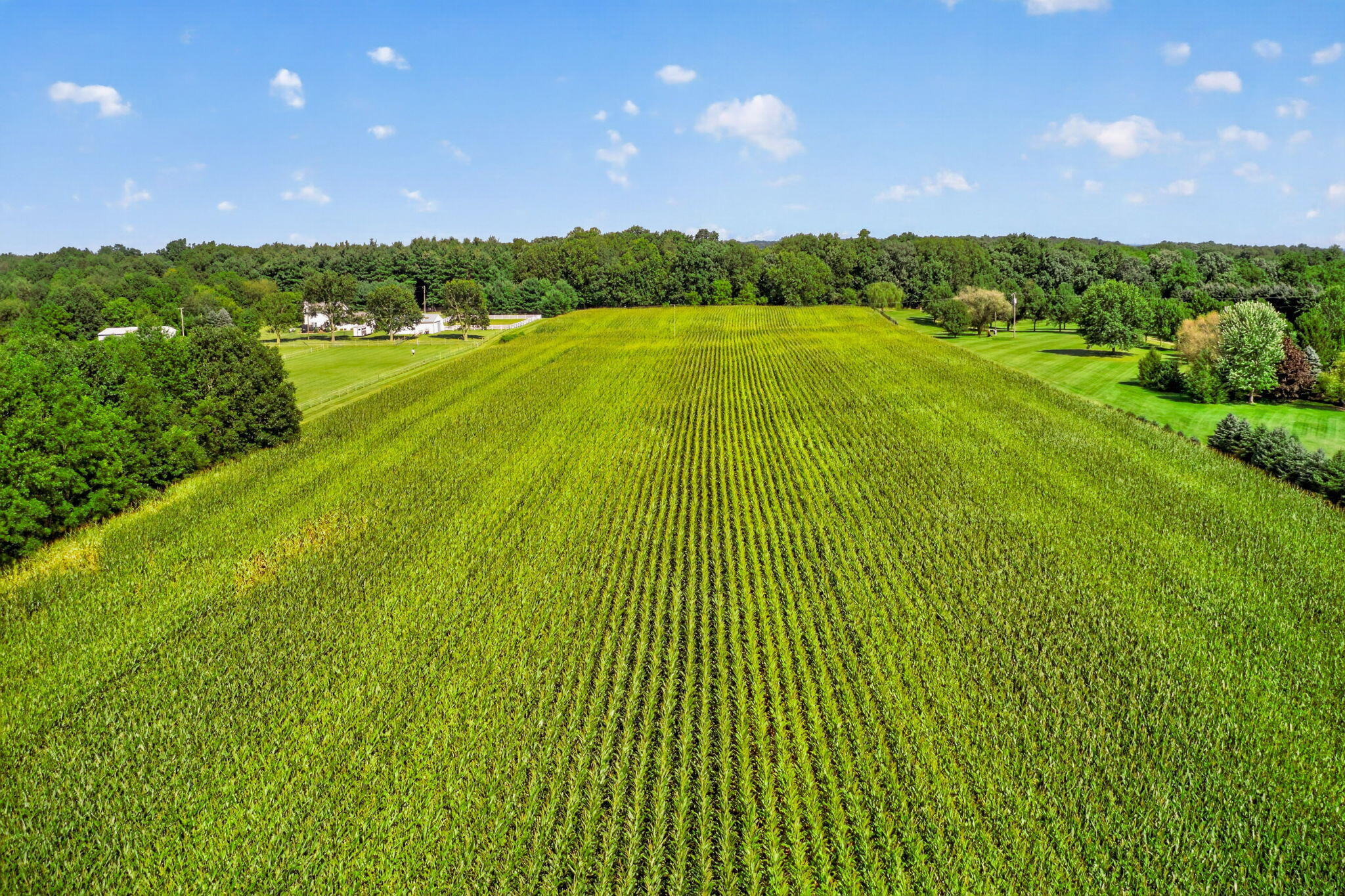V/l Adamsville Road Edwardsburg MI 49112