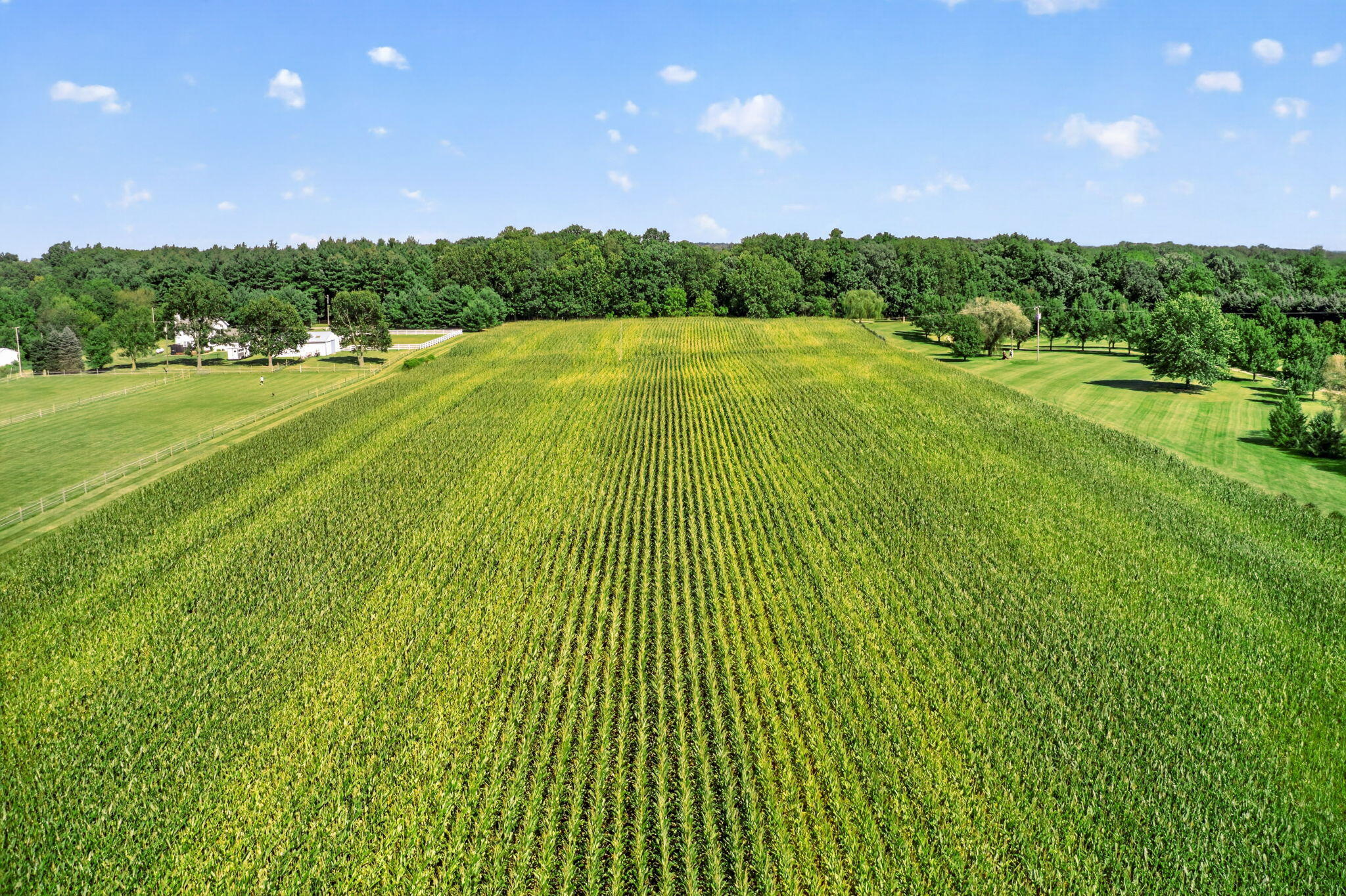 V/l Adamsville Road Edwardsburg MI 49112