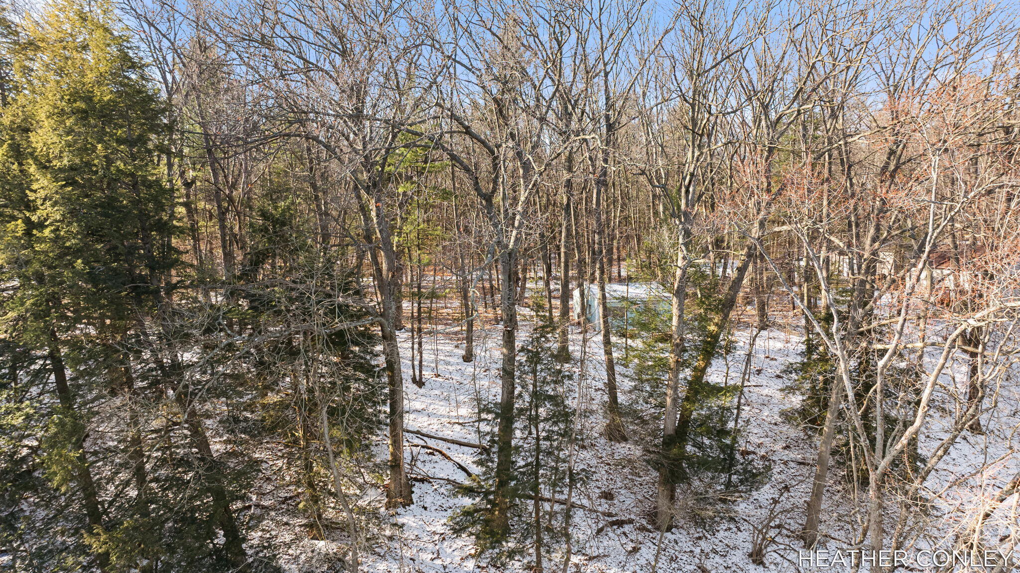 3125 River Bend Trail Fennville MI 49408