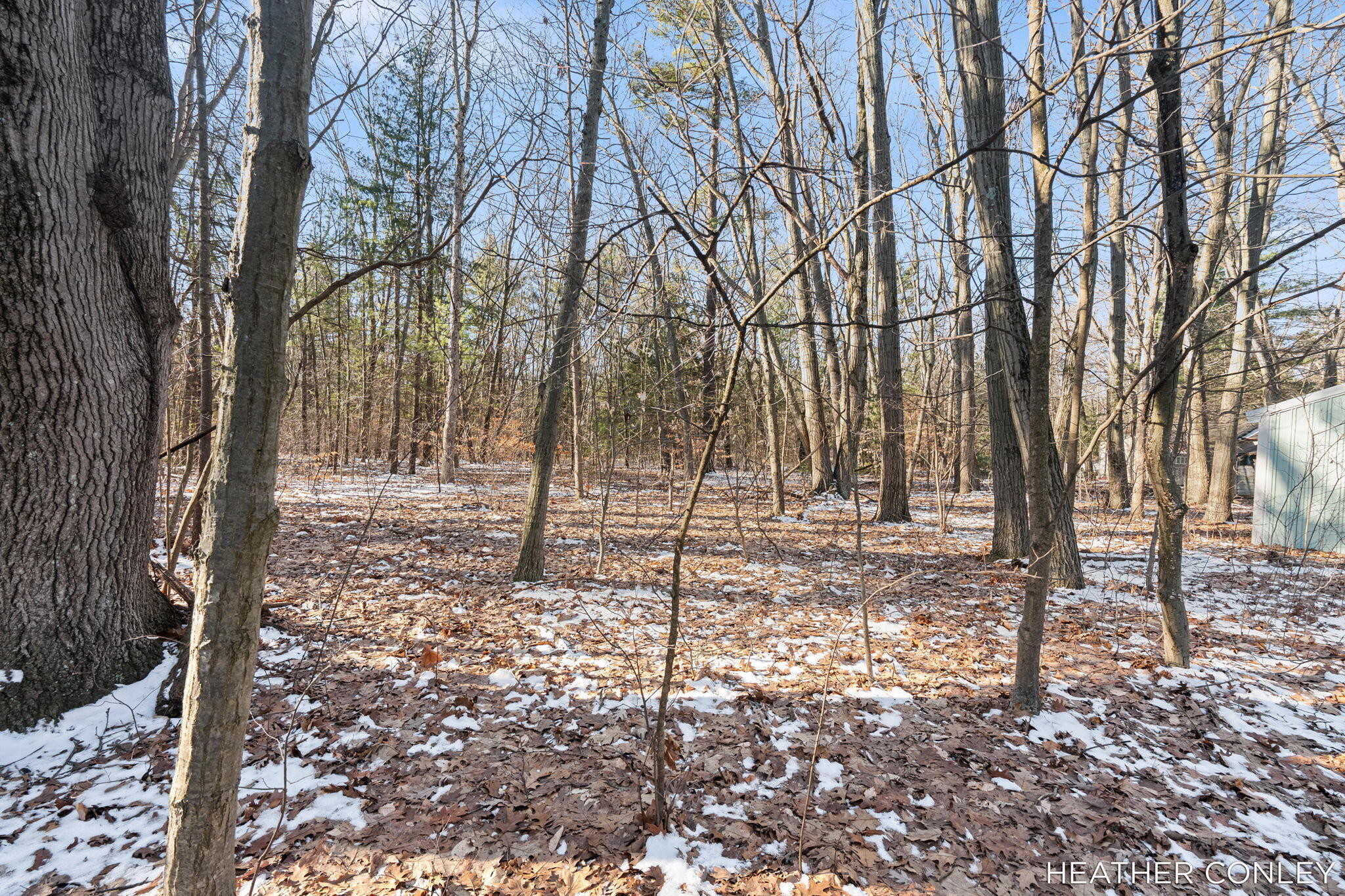3125 River Bend Trail Fennville MI 49408