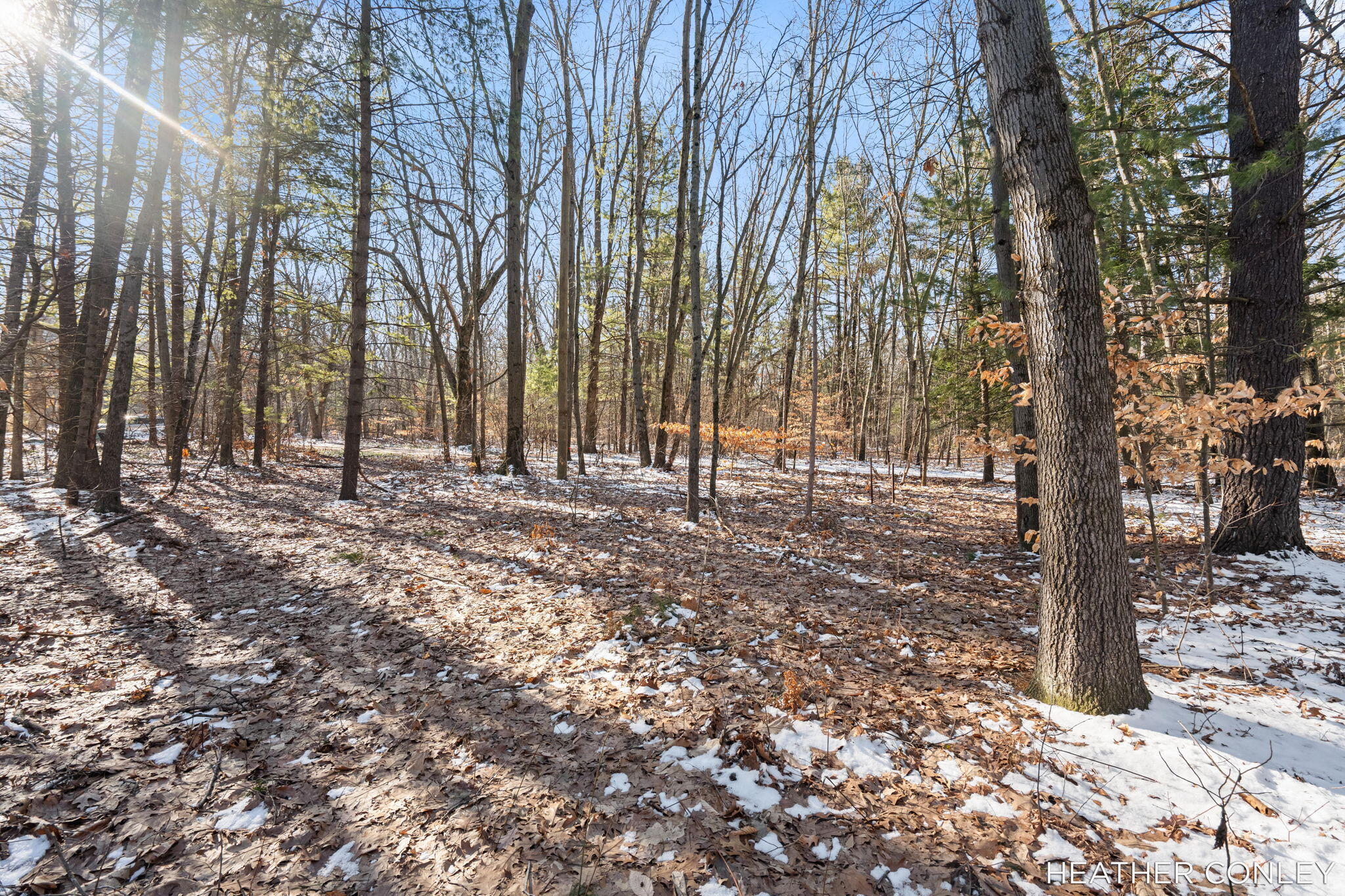 3125 River Bend Trail Fennville MI 49408