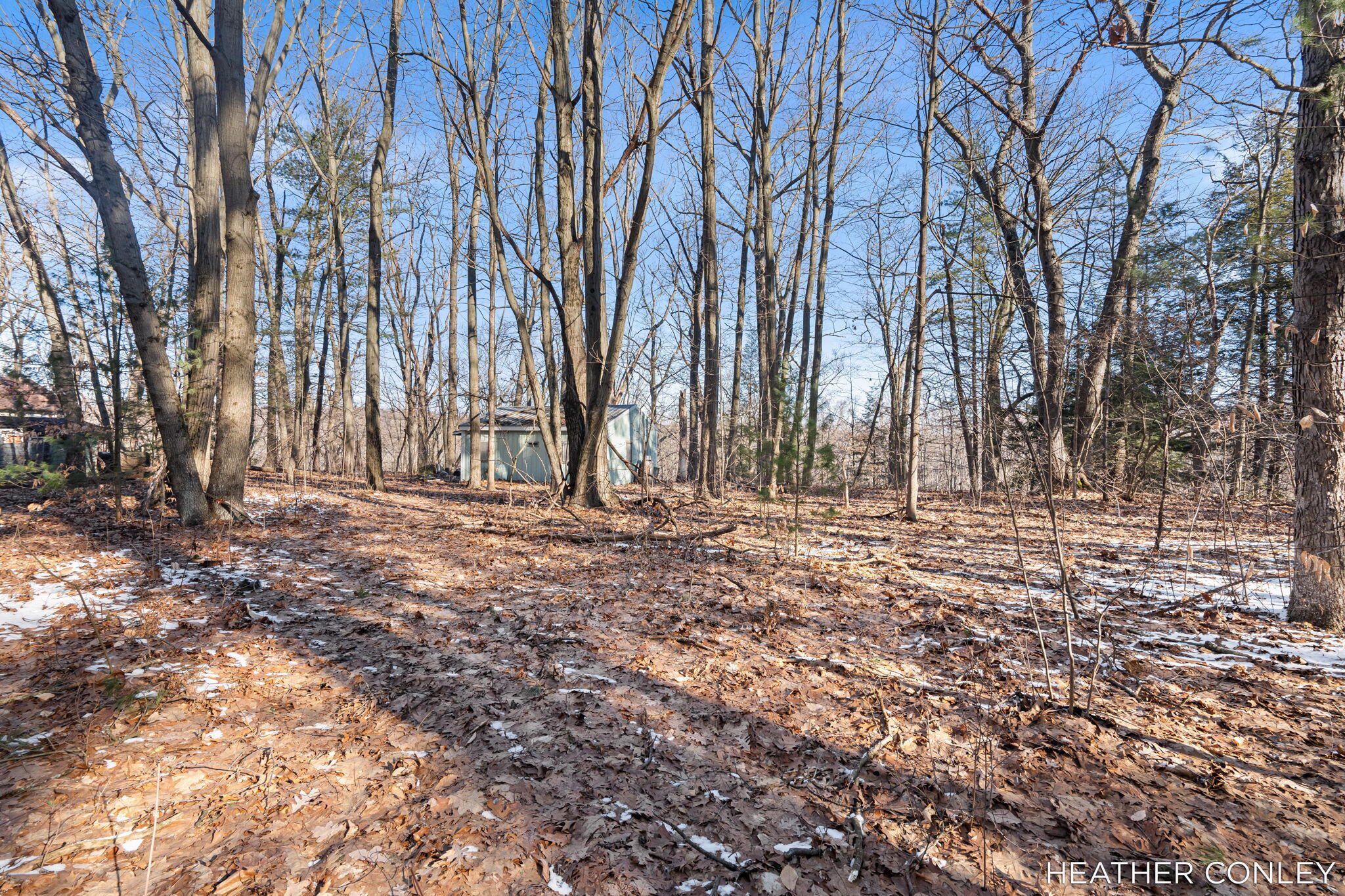 3125 River Bend Trail Fennville MI 49408