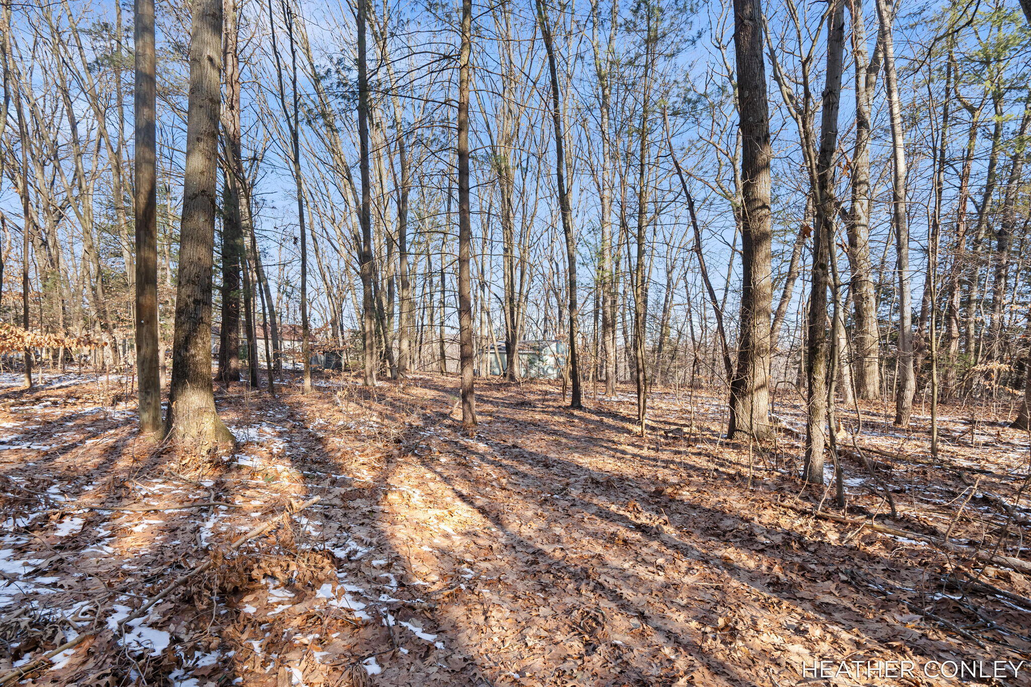 3125 River Bend Trail Fennville MI 49408