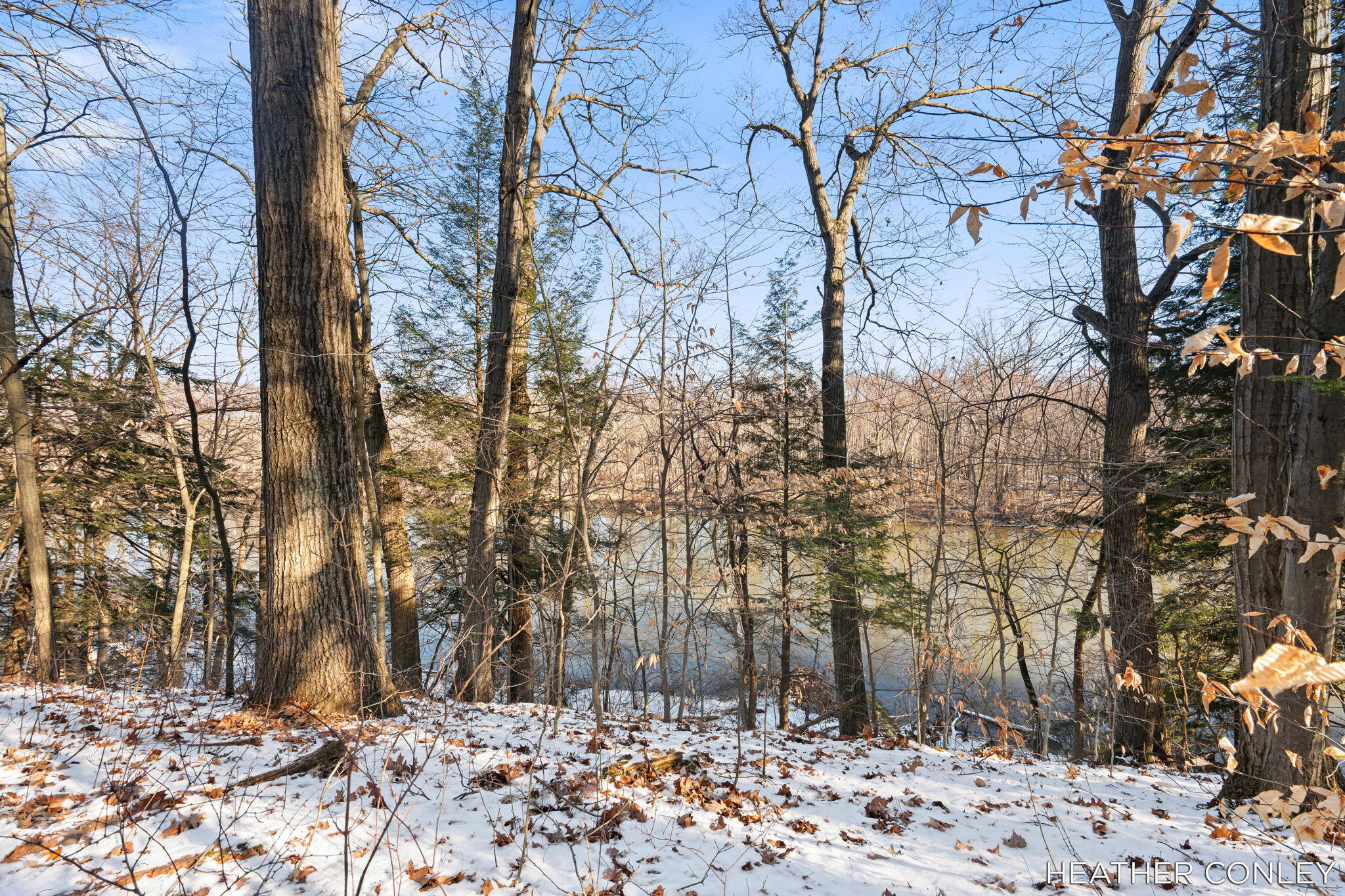 3125 River Bend Trail Fennville MI 49408